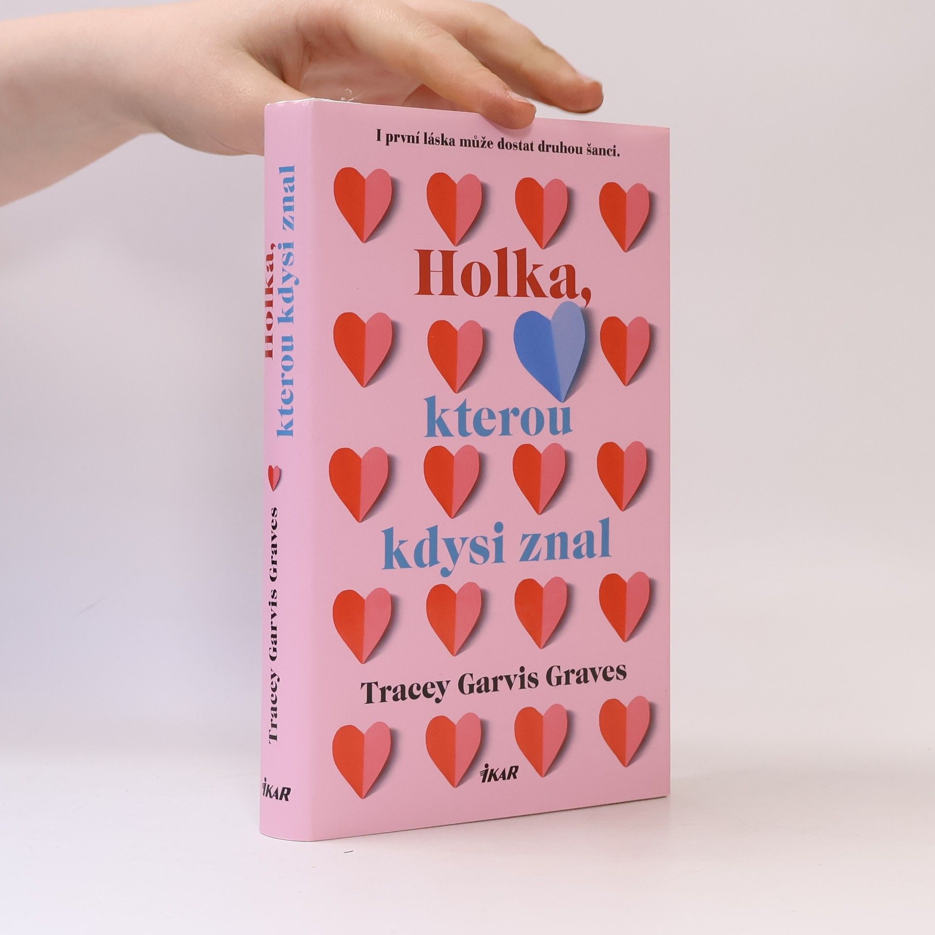 Tracey Garvis Graves Holka, kterou kdysi znal