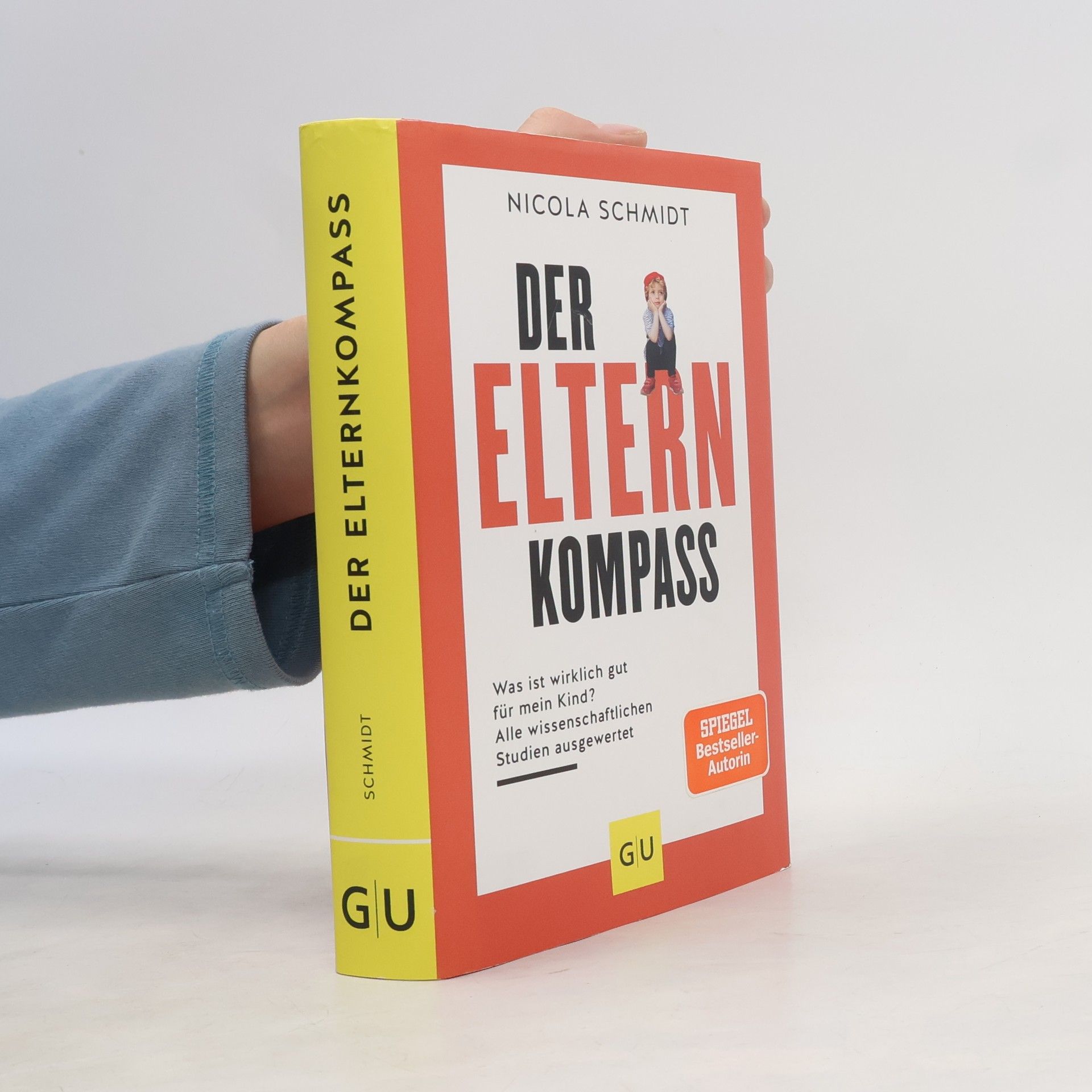 Nicola Schmidt Der Elternkompass