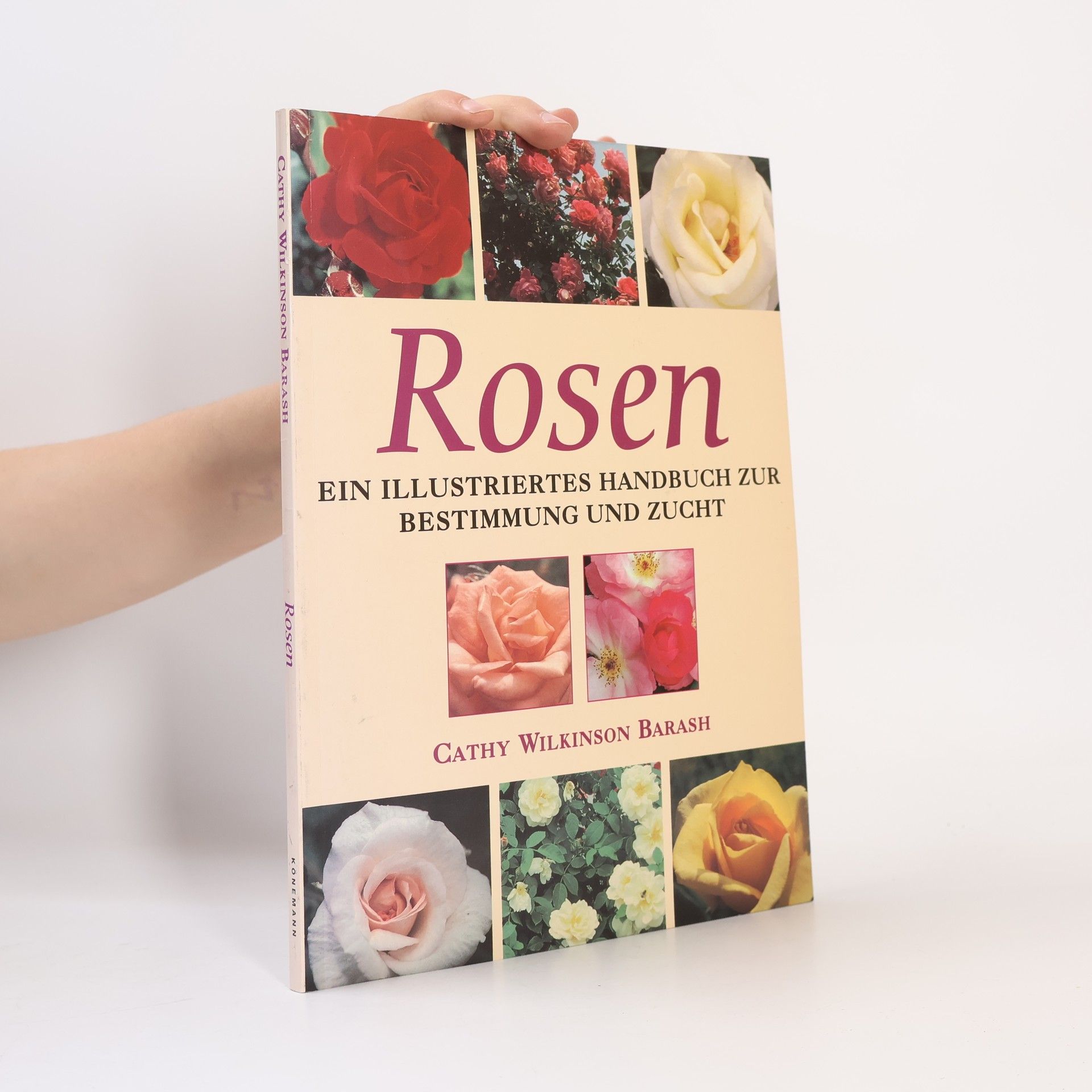 Cathy Wilkinson Barash Rosen