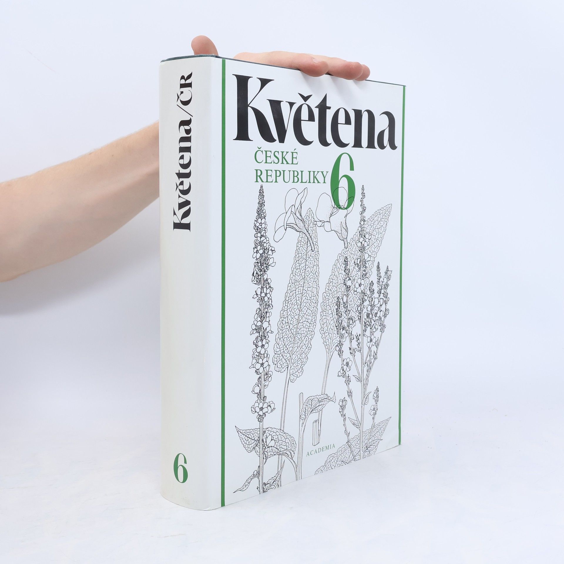 Květena České republiky 6