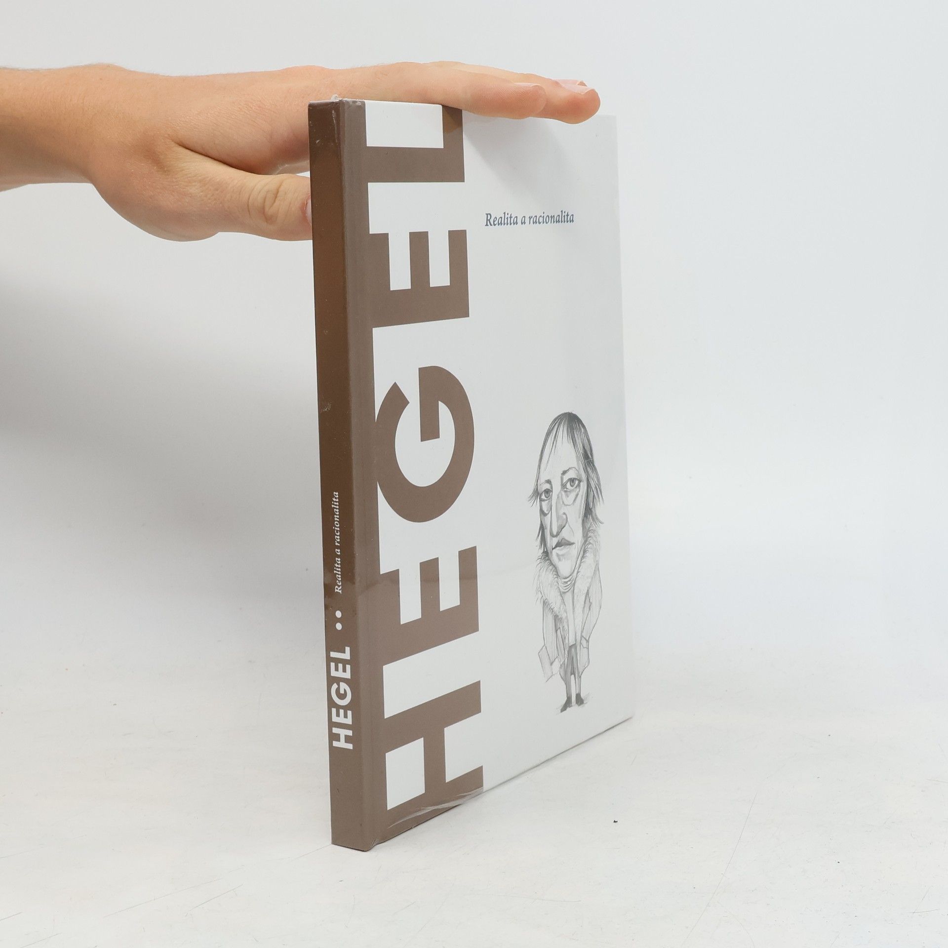 Kolektív autorov Hegel. Realita a racionalita