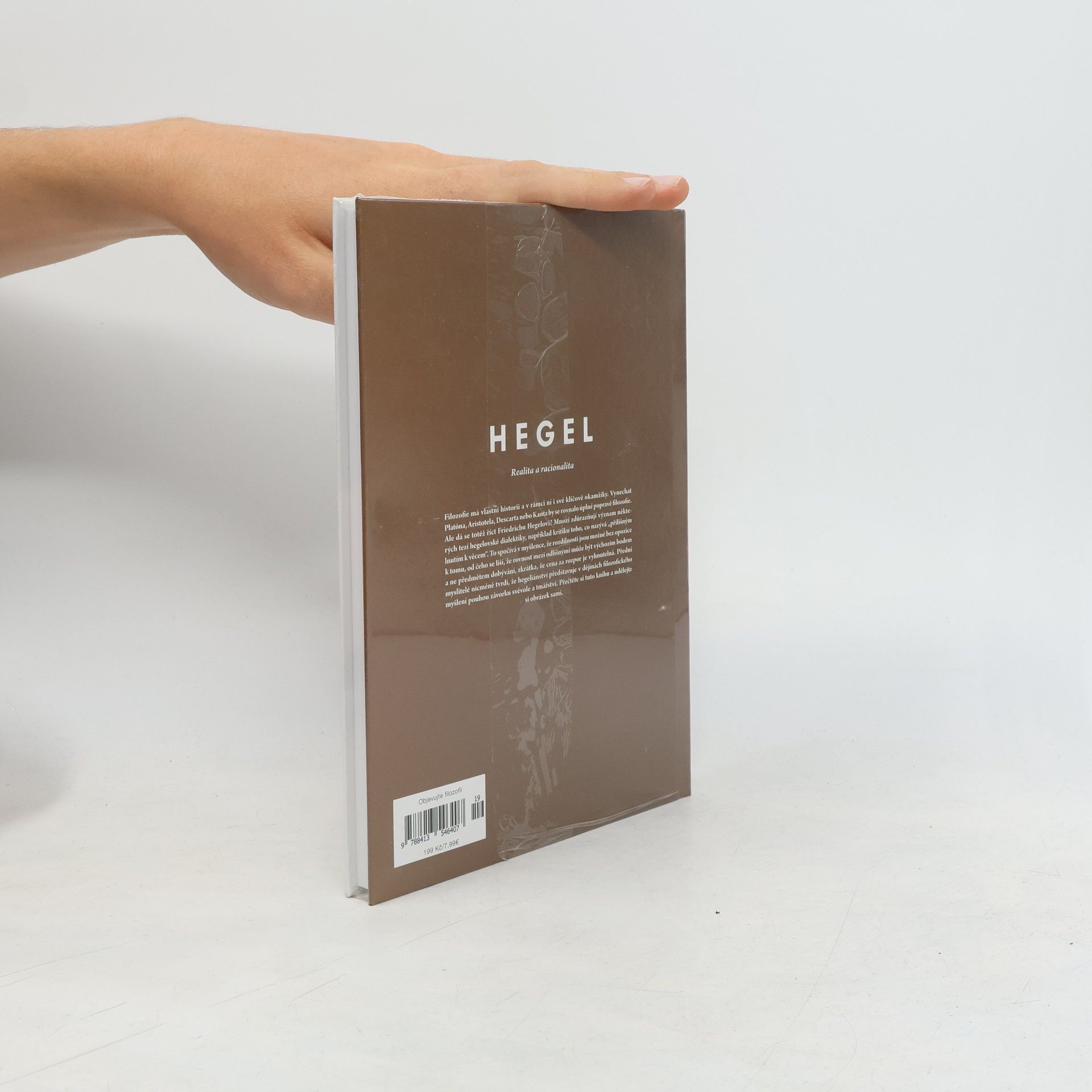 Autores varios Hegel. Realita a racionalita
