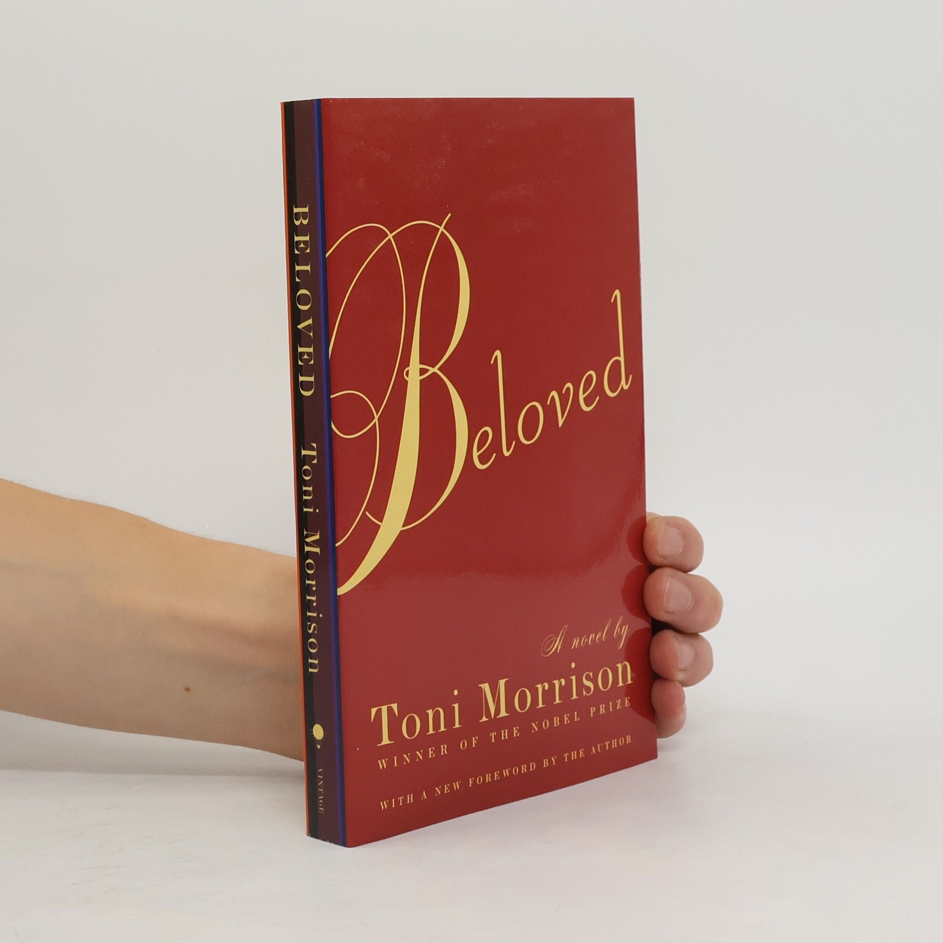 Toni Morrison Beloved