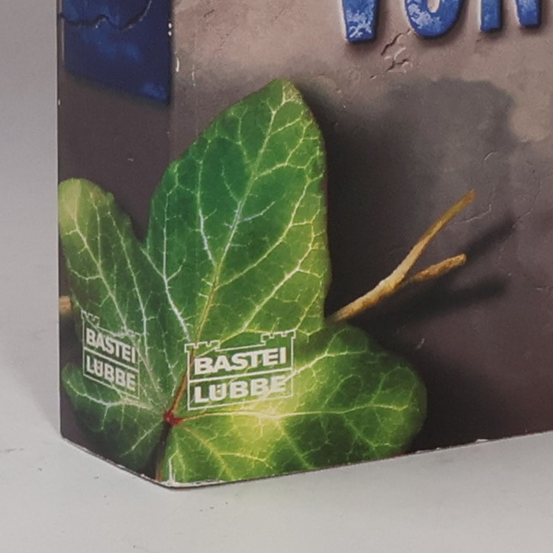 Ken Follett Die Kinder von Eden