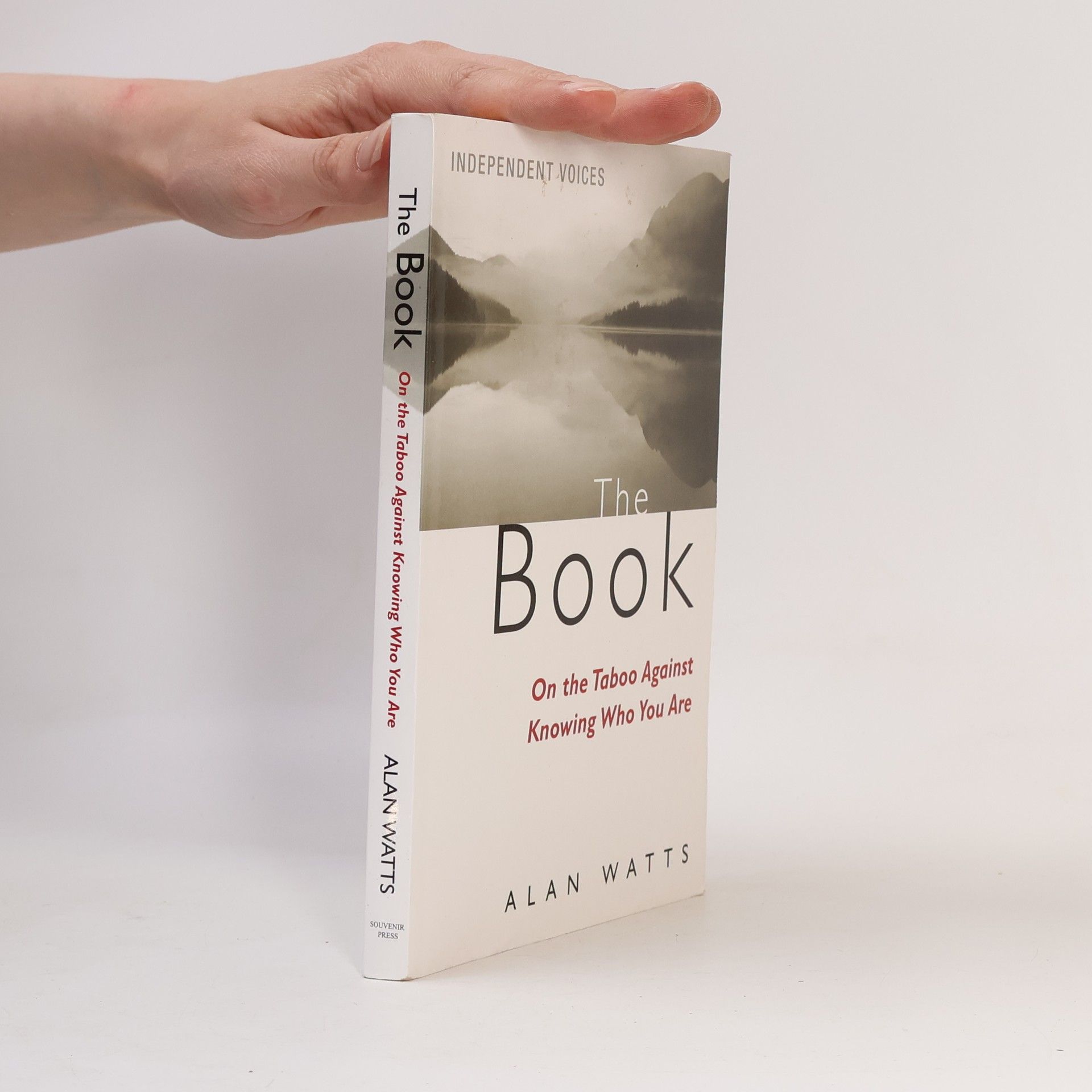 Alan Watts The Book