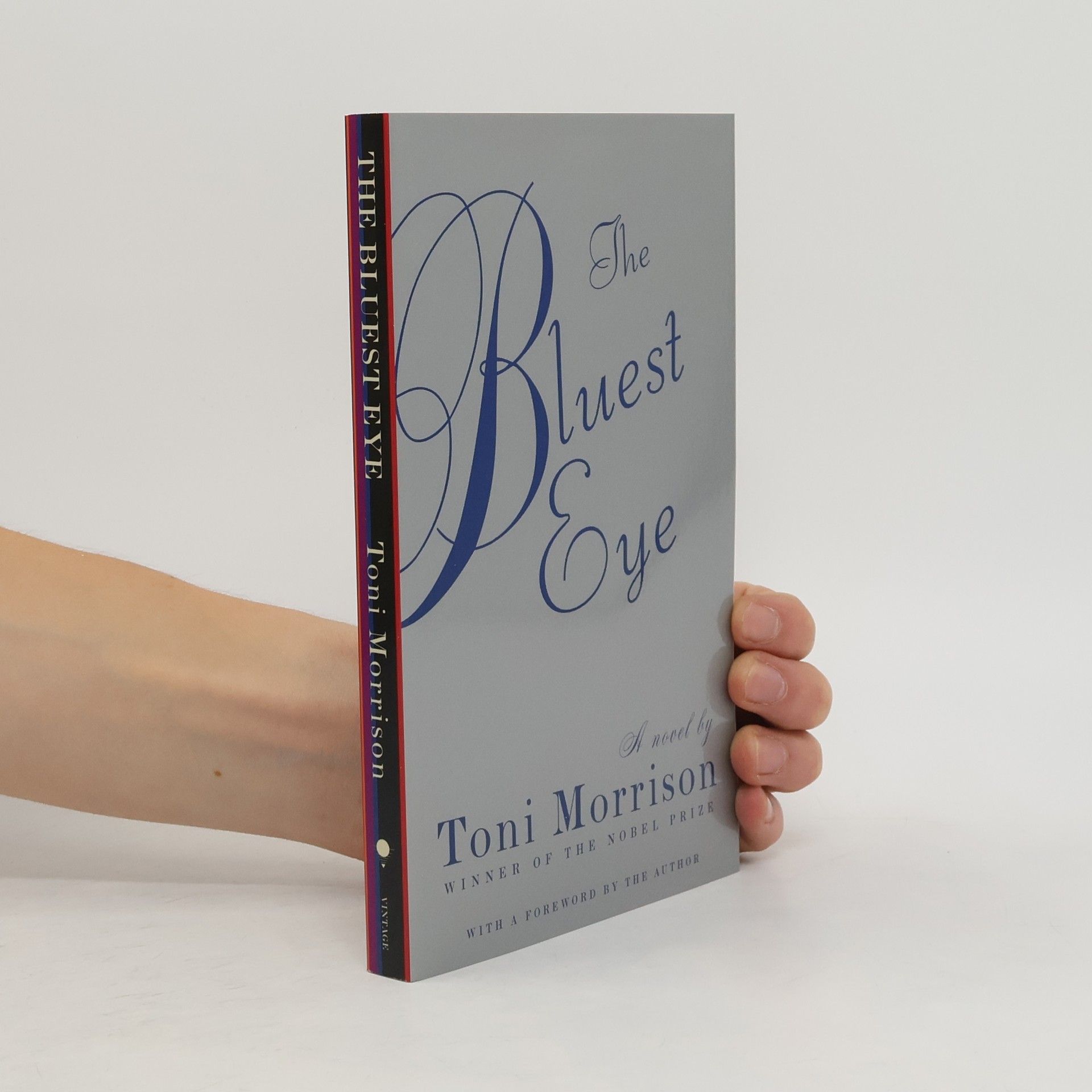 Toni Morrison The Bluest Eye