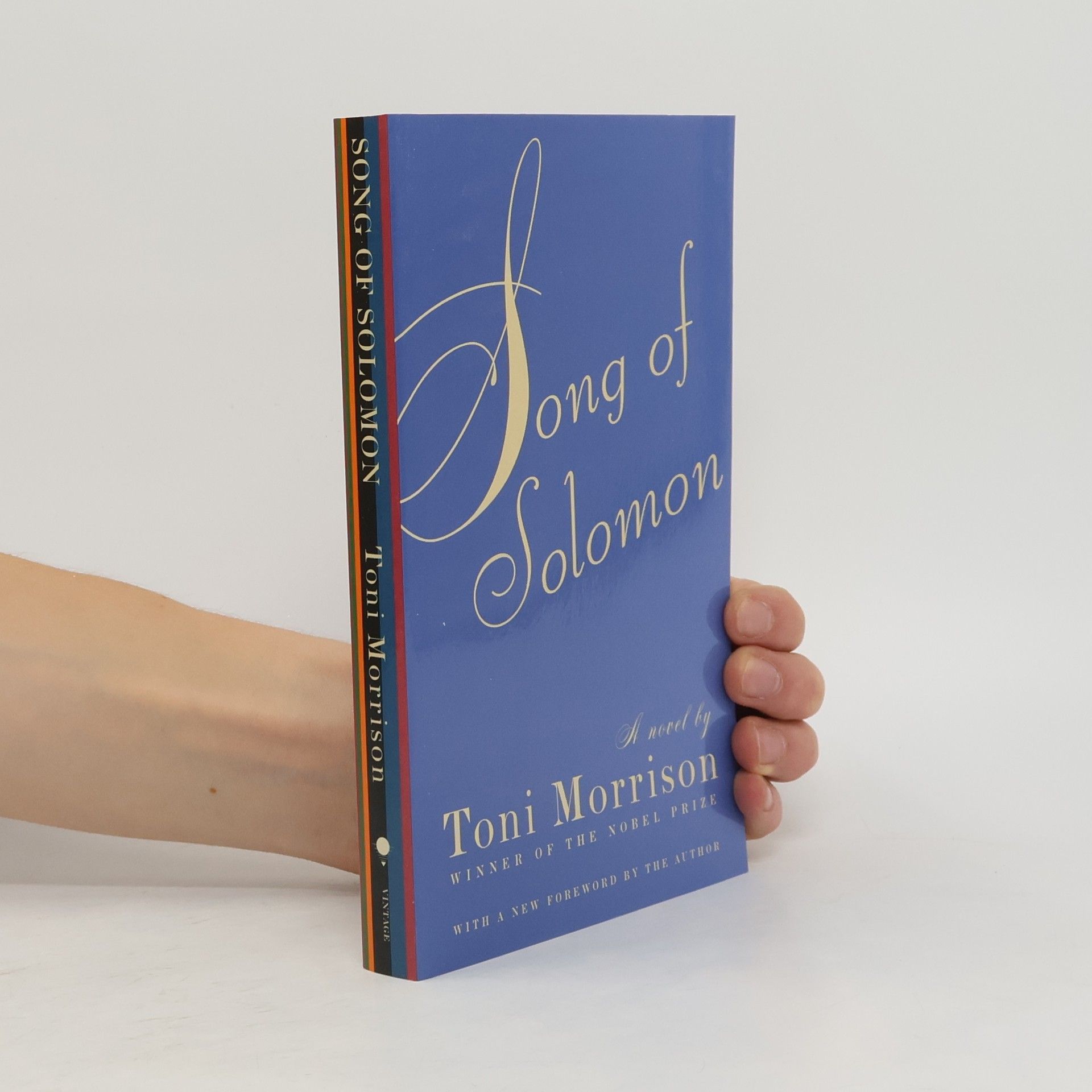 Toni Morrison Song of Solomon