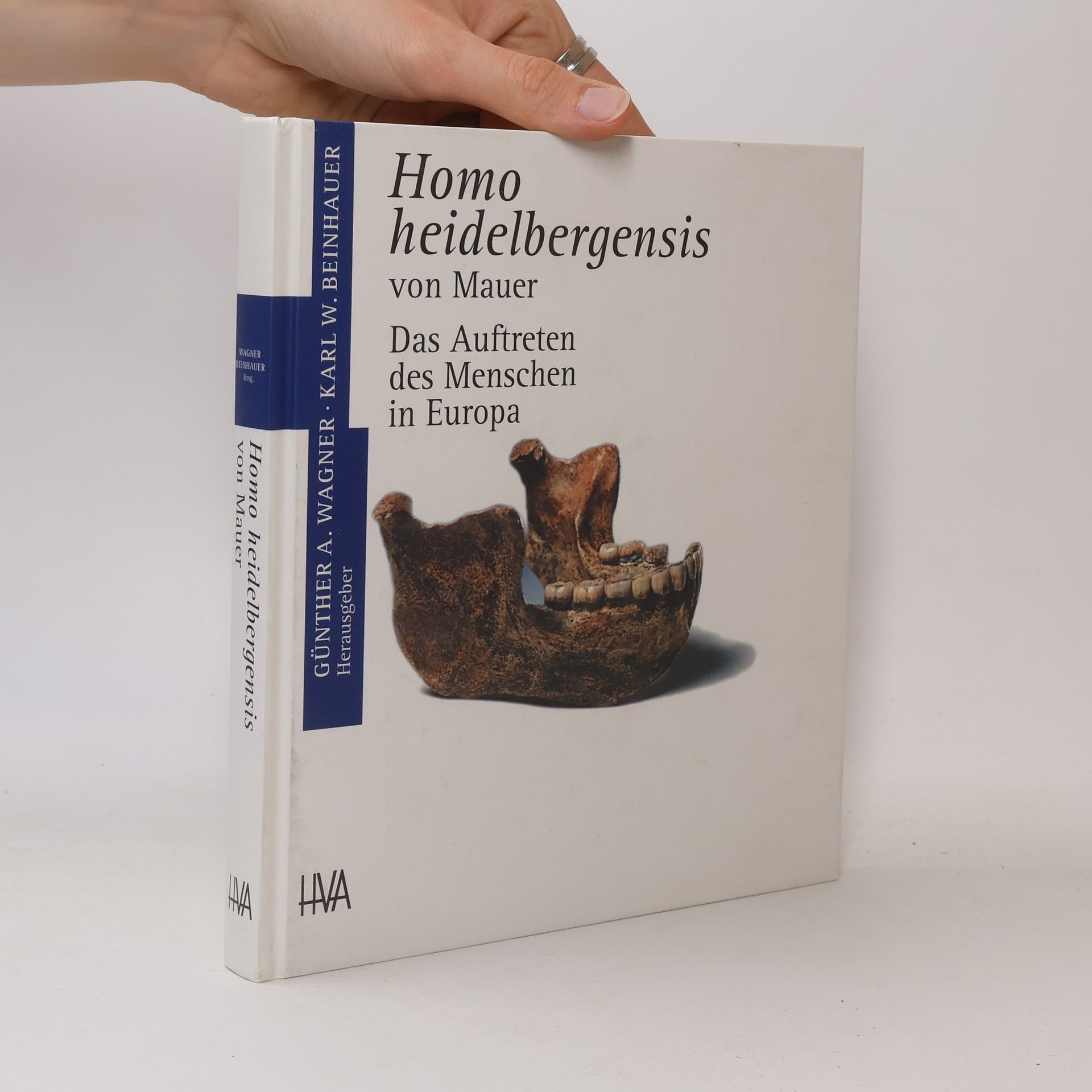 Günther A. Wagner Homo heidelbergensis von Mauer
