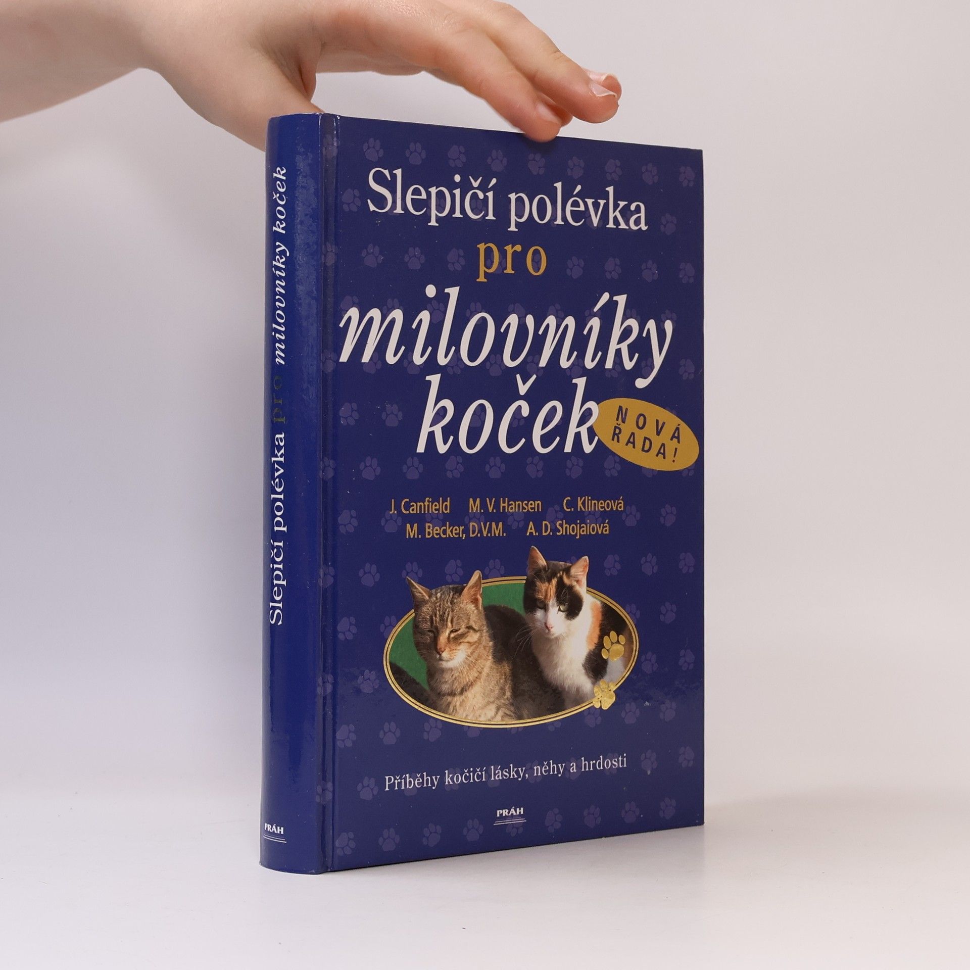 Slepičí polévka pro milovníky koček: Příběhy o kočičí věrnosti, radosti i odvaze