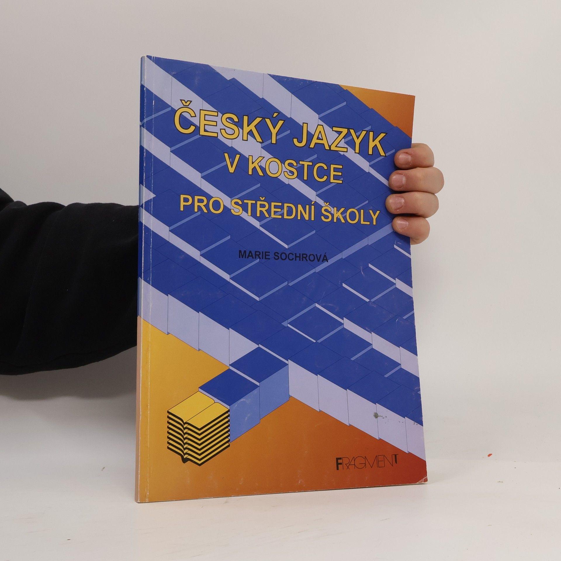 Marie Sochrová Český jazyk v kostce. Pro střední školy