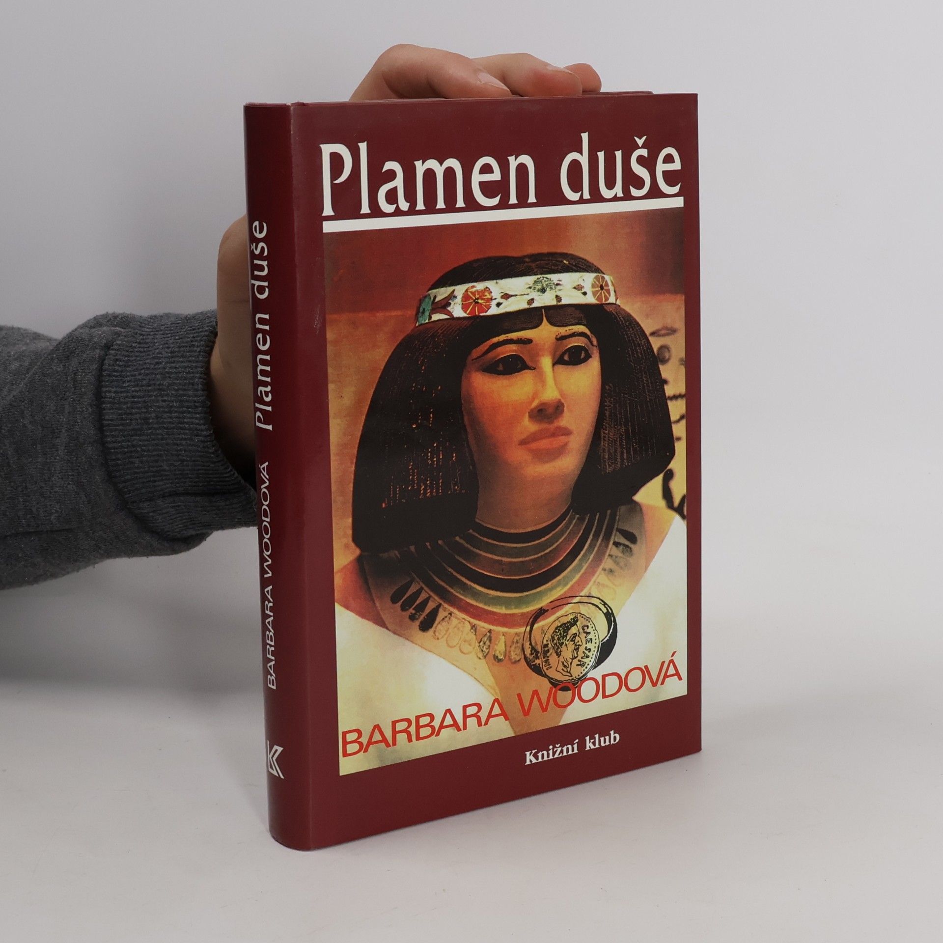 Barbara Wood Plamen duše