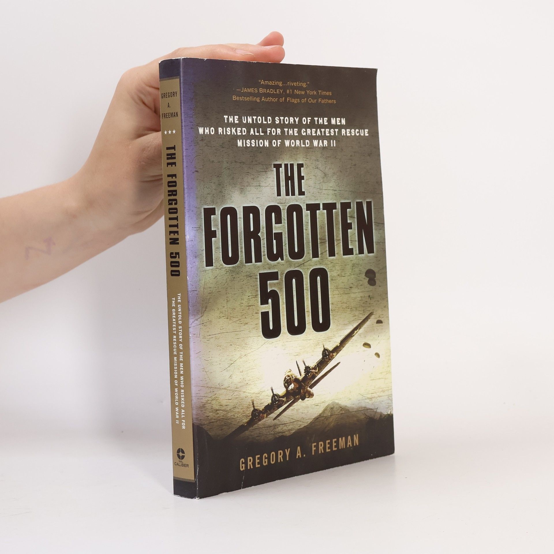 Freeman Gregory A. The Forgotten 500