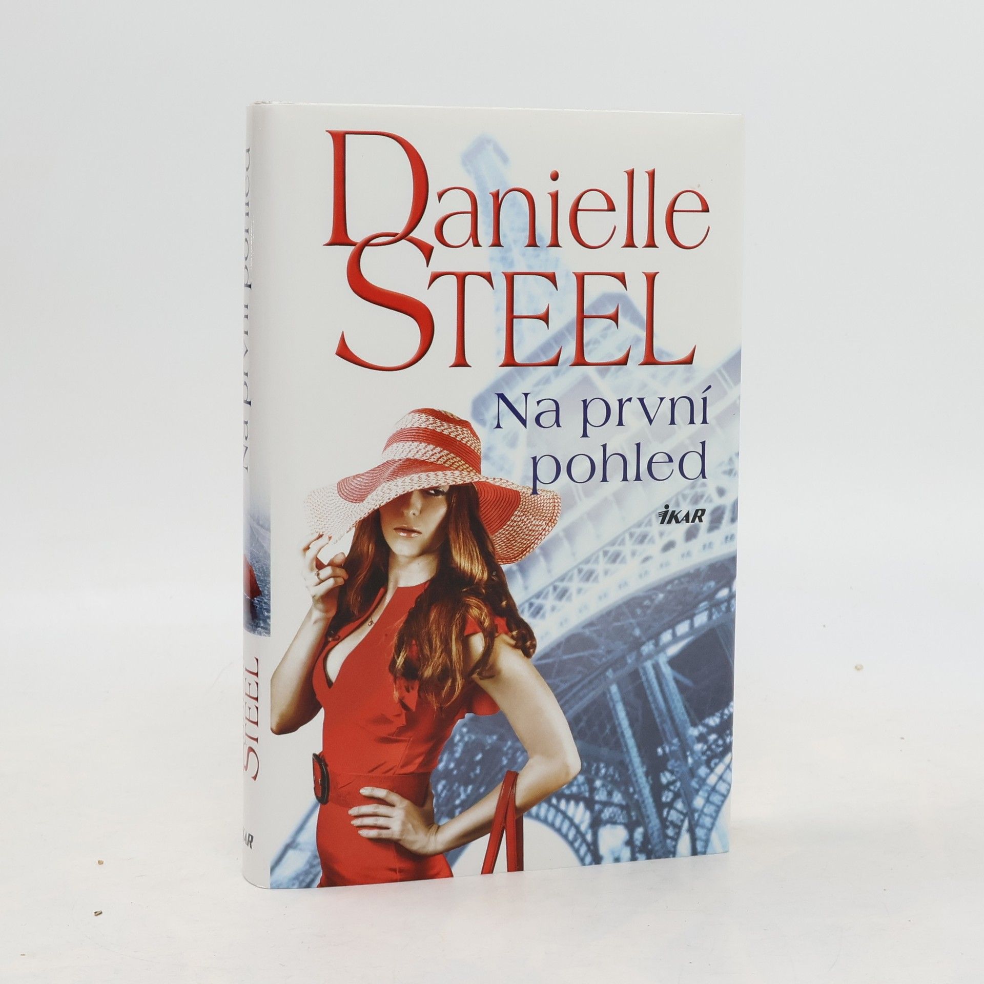 Danielle Steel Na první pohled