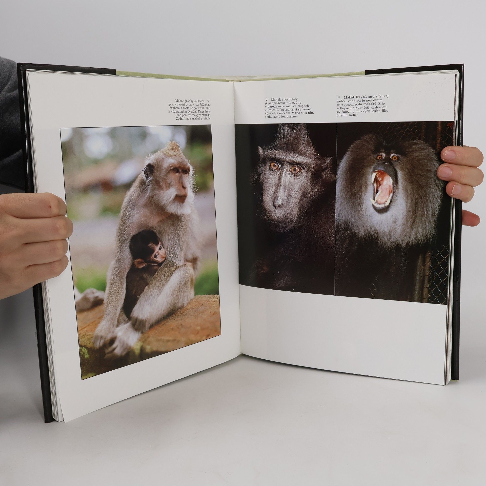 Zuzana Samková Zoo útočiště zvířat
