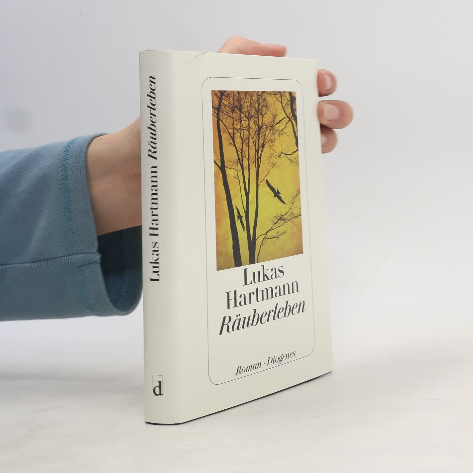 Lukas Hartmann Räuberleben