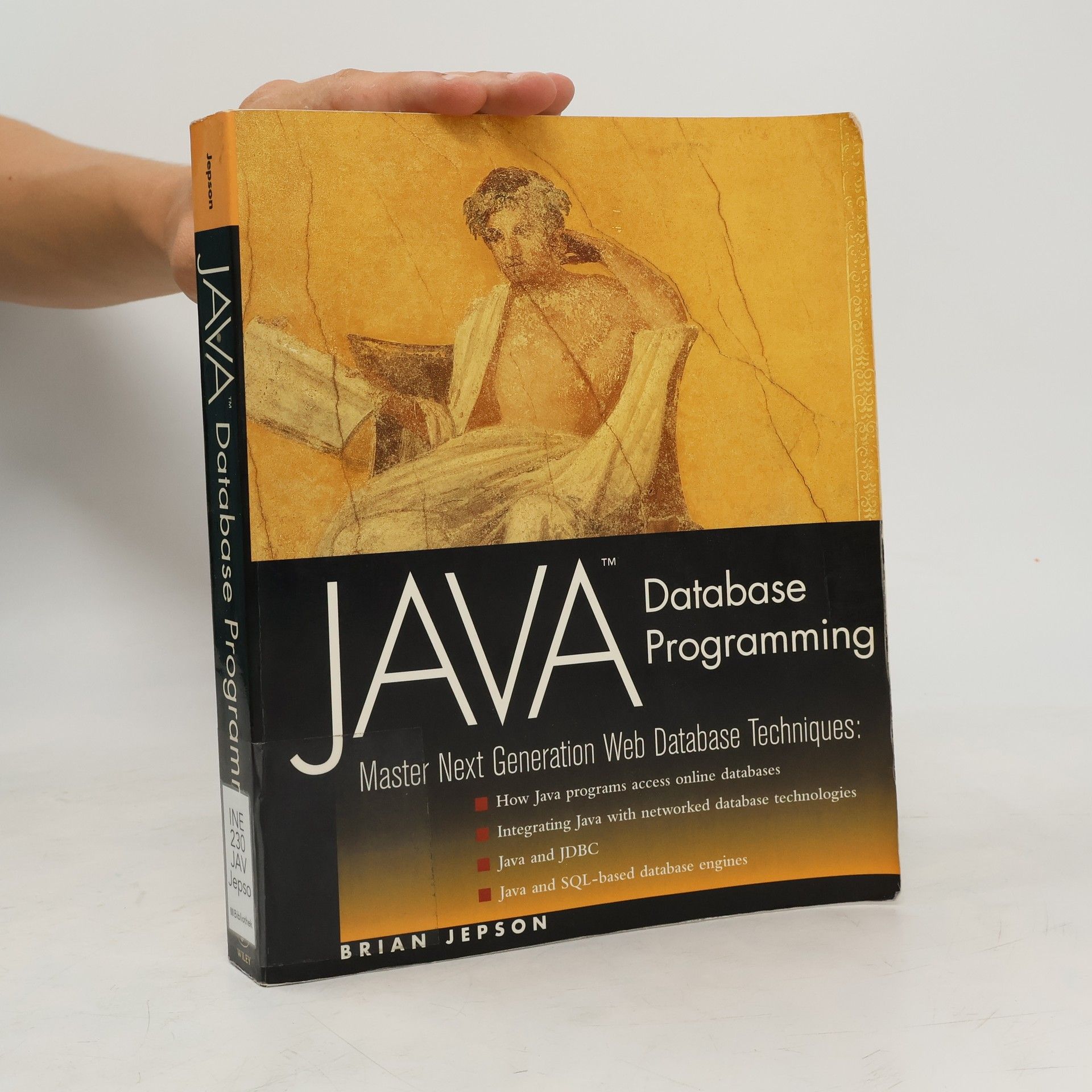 Brian Jepson Java Database Programming