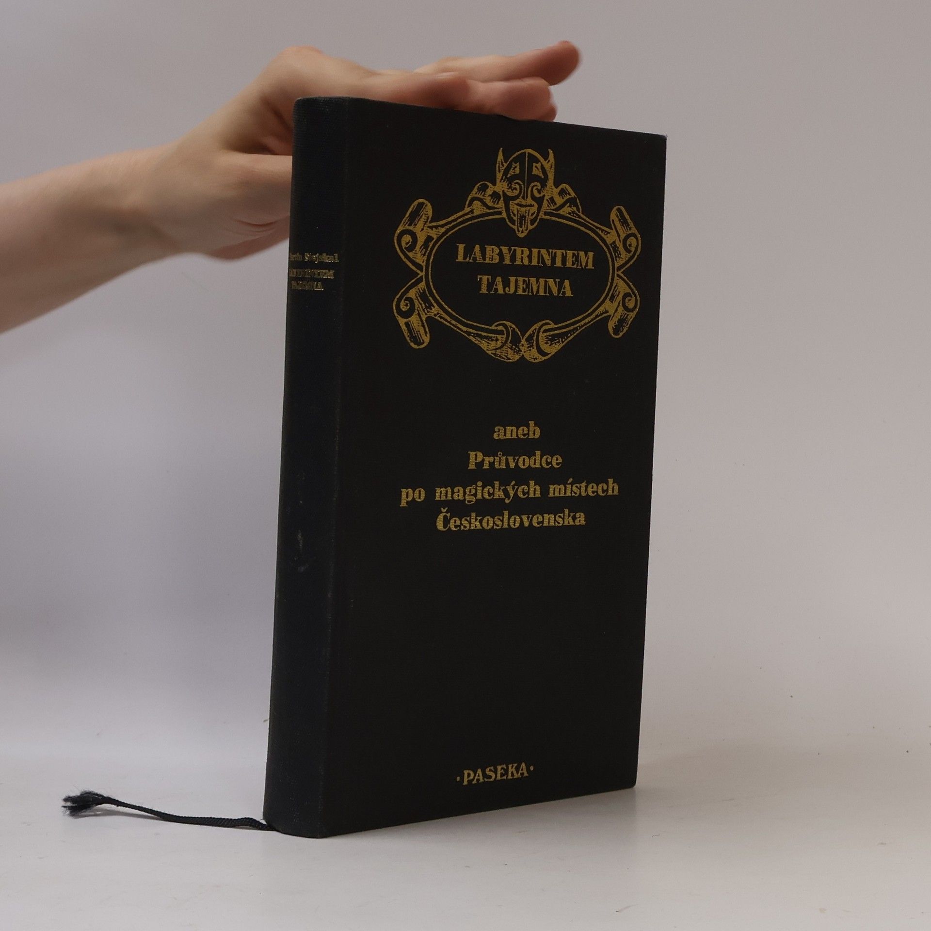Autorenkollektiv Na obrázku je kniha Labyrintem tajemna, aneb, Průvodce po magických místech Československa