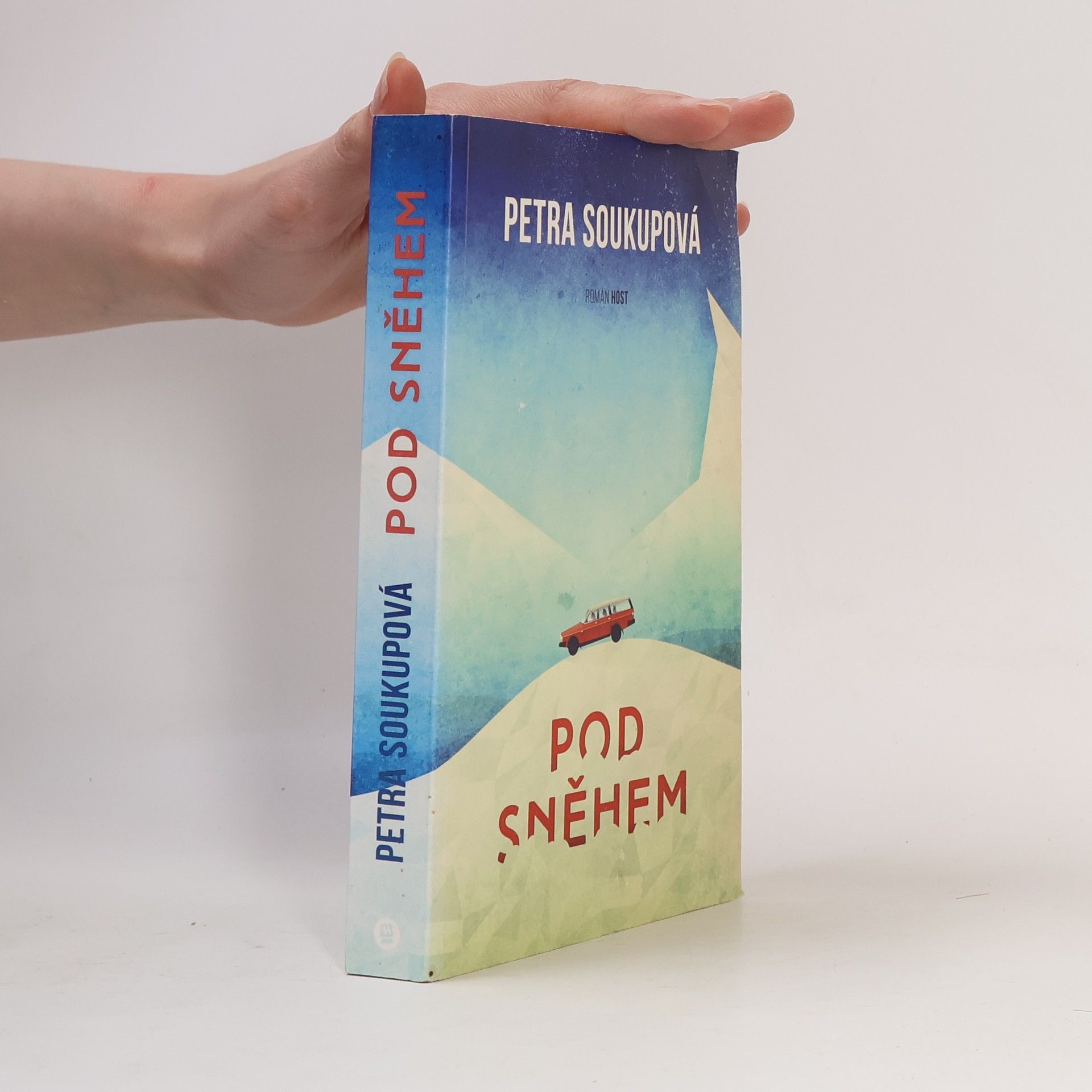 Pod sněhem