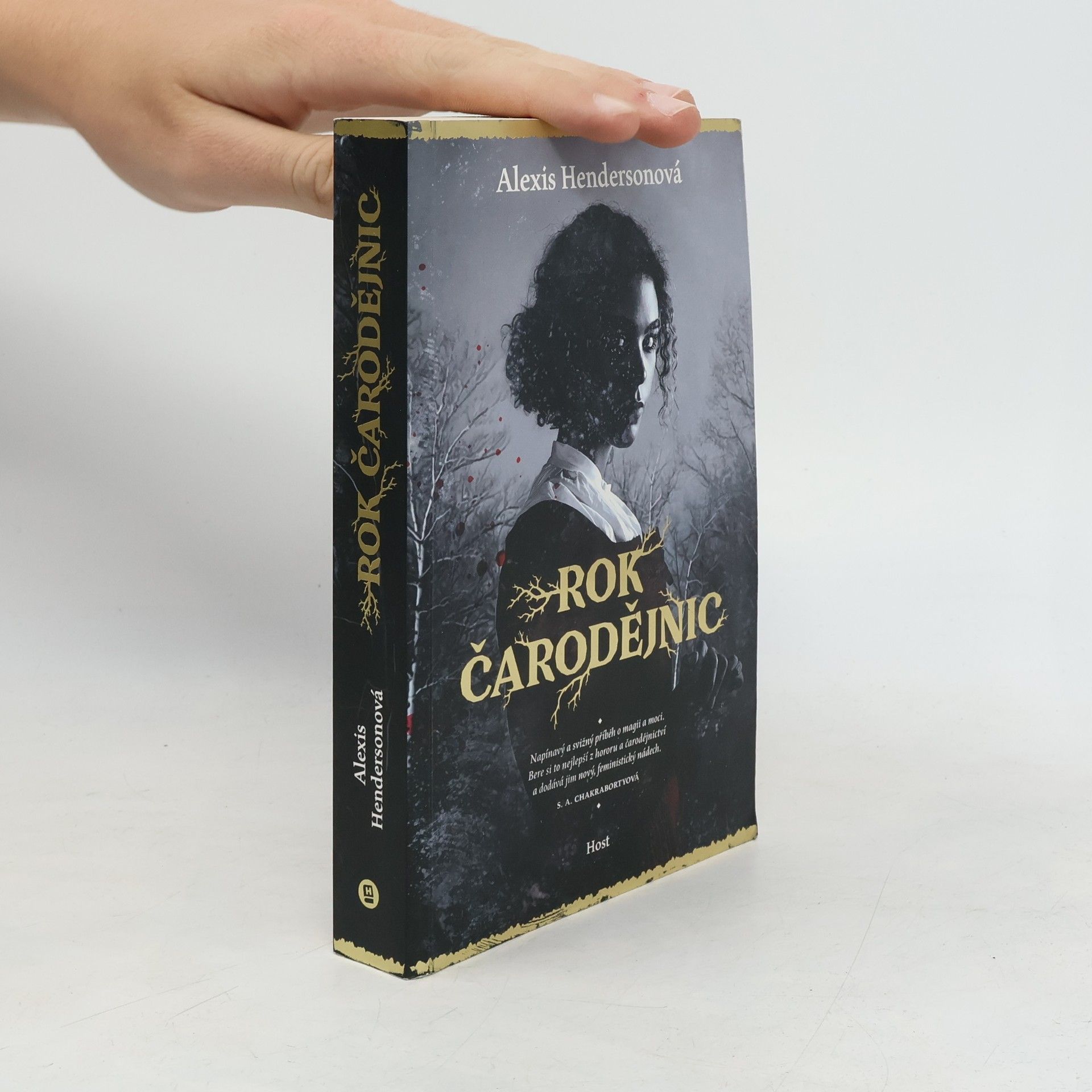 Alexis Henderson Rok čarodějnic
