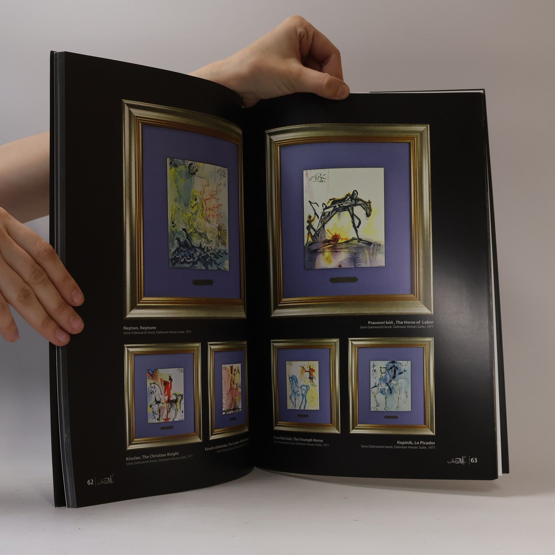 Autorenkollektiv Salvador Dali