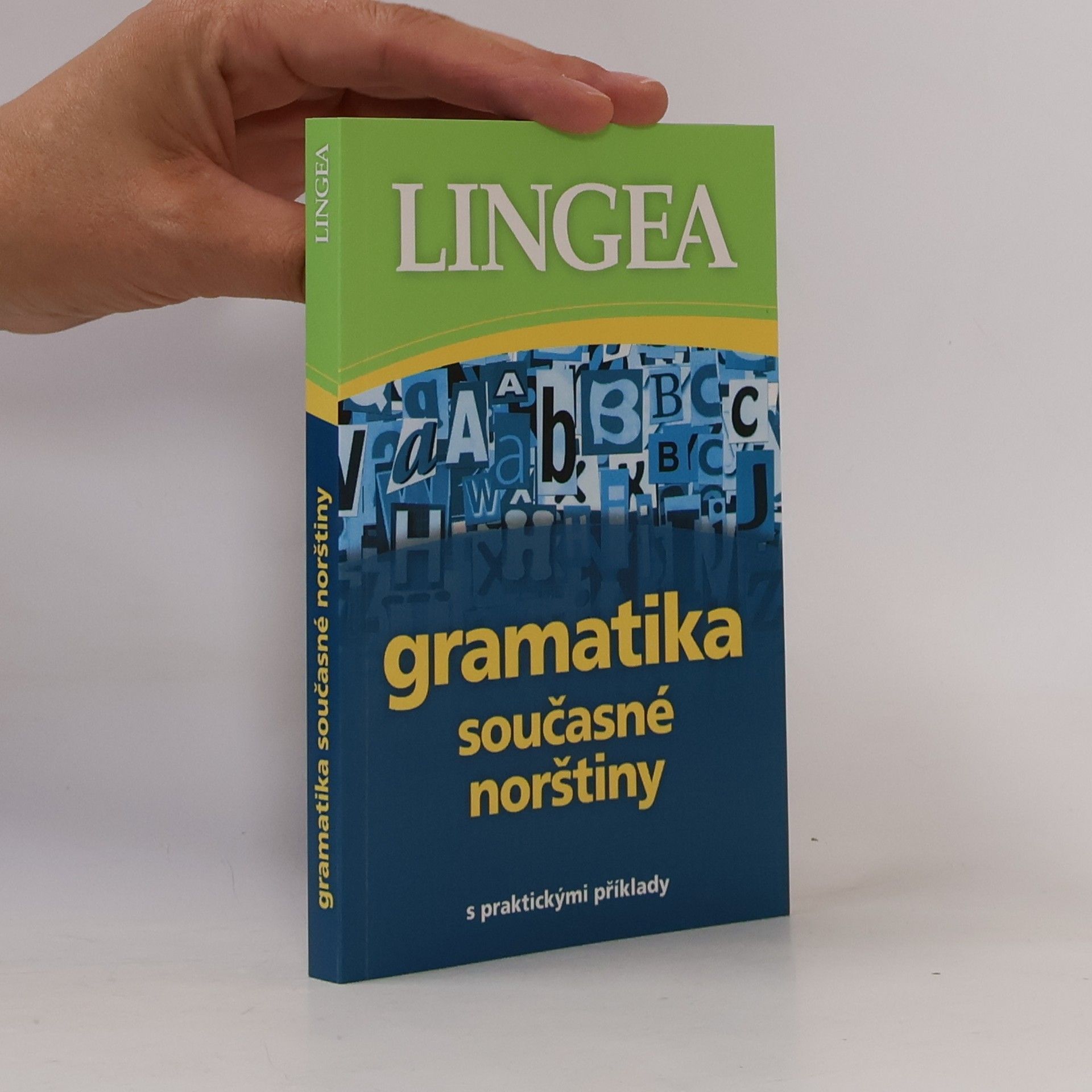 Kolektiv autorů Gramatika současné norštiny