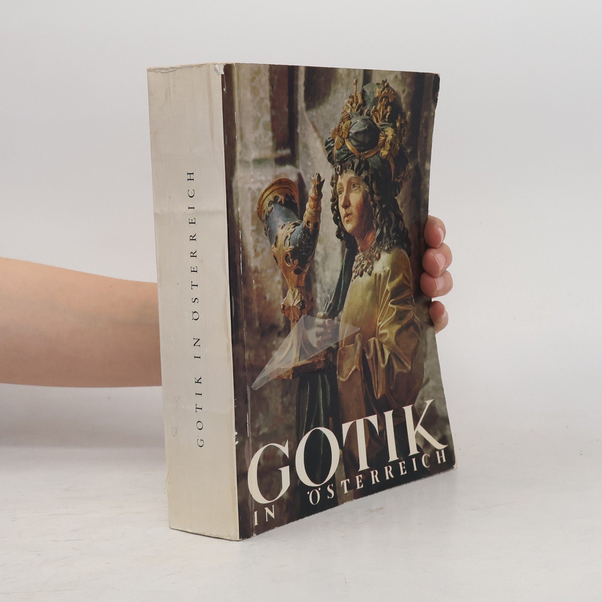 Kolektiv autorů Gotik in Österreich