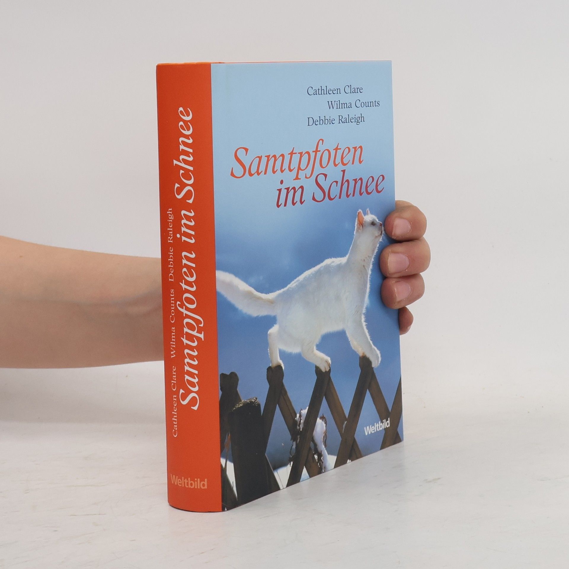 Cathleen Clare Samtpfoten im Schnee