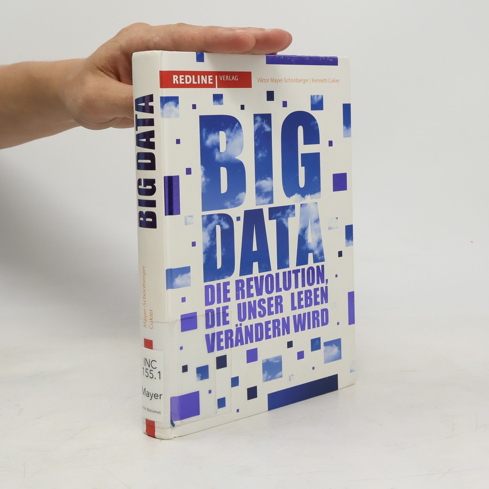 Viktor Mayer-Schönberger Big Data