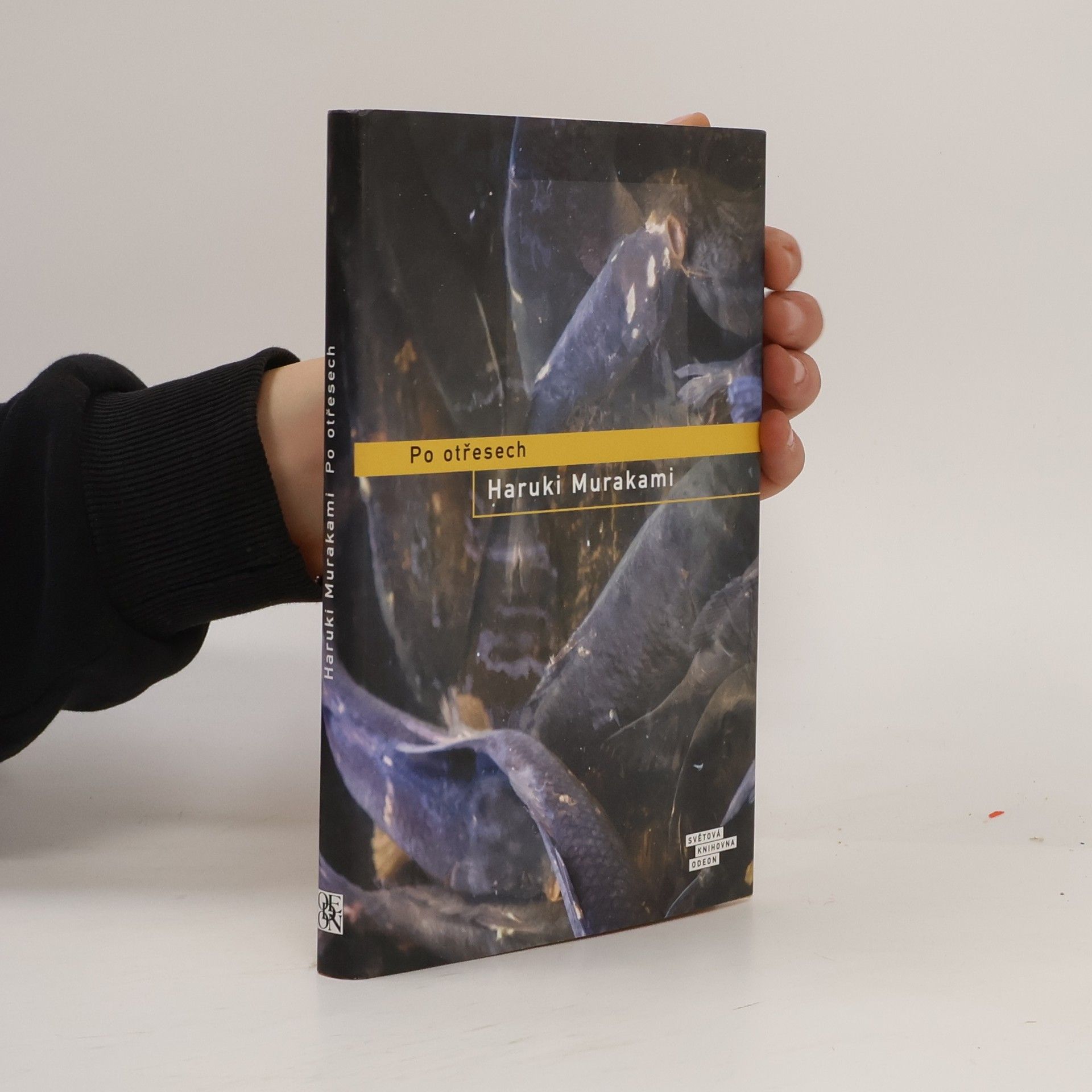 Haruki Murakami Po otřesech