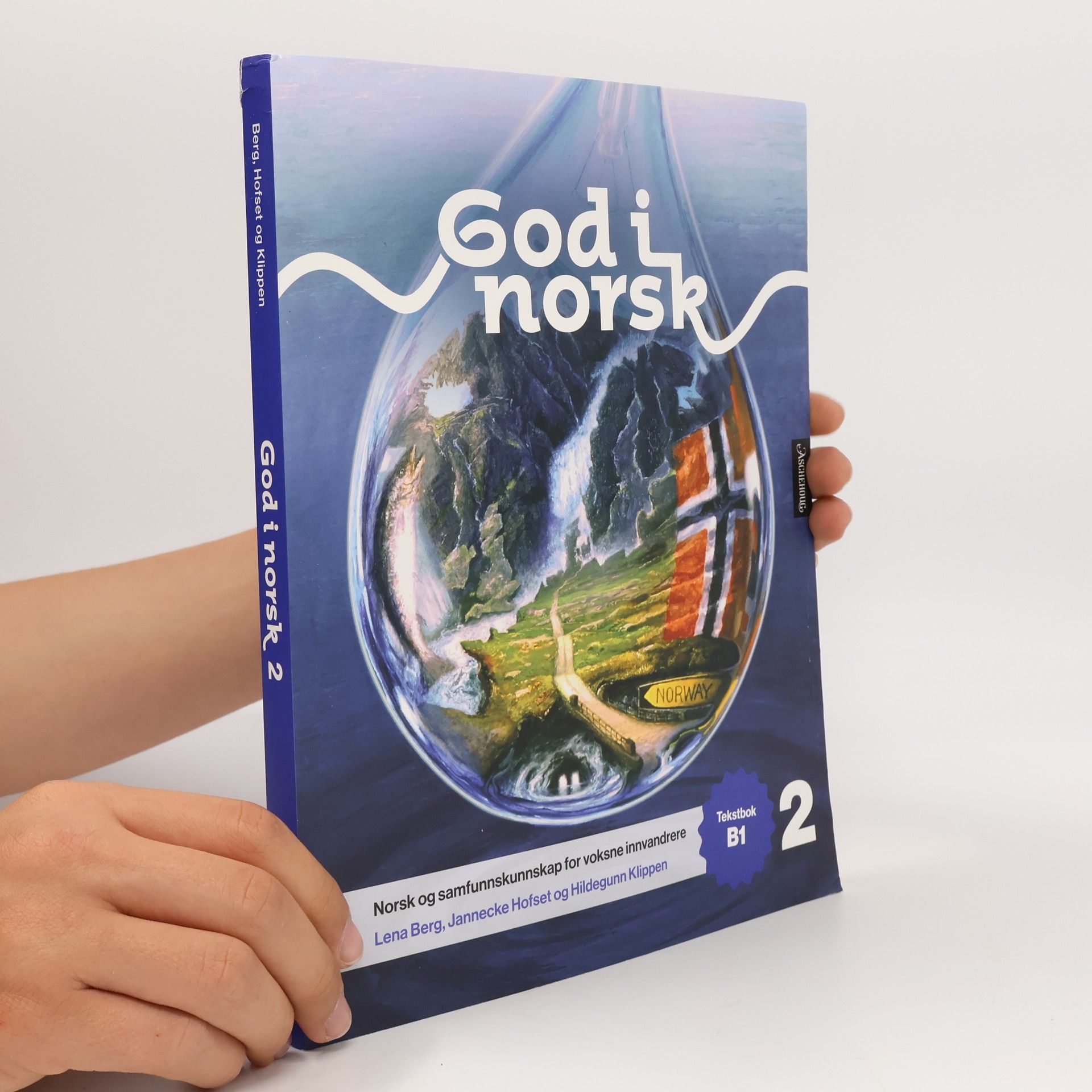 Hildegunn Klippen God i norsk 2. Tekstbok B1