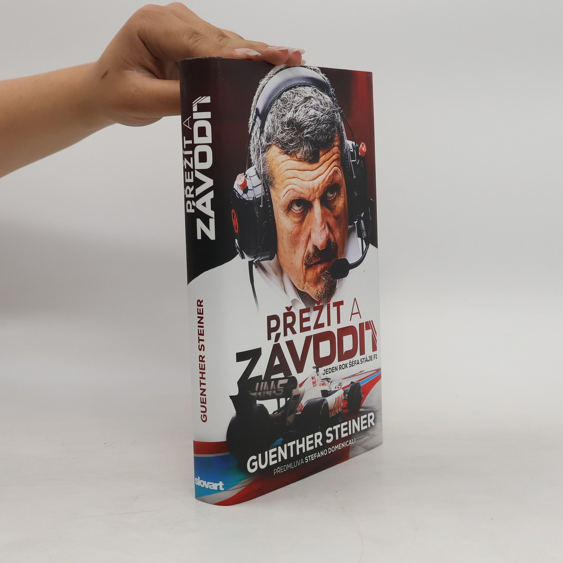 Guenther Steiner Přežít a závodit