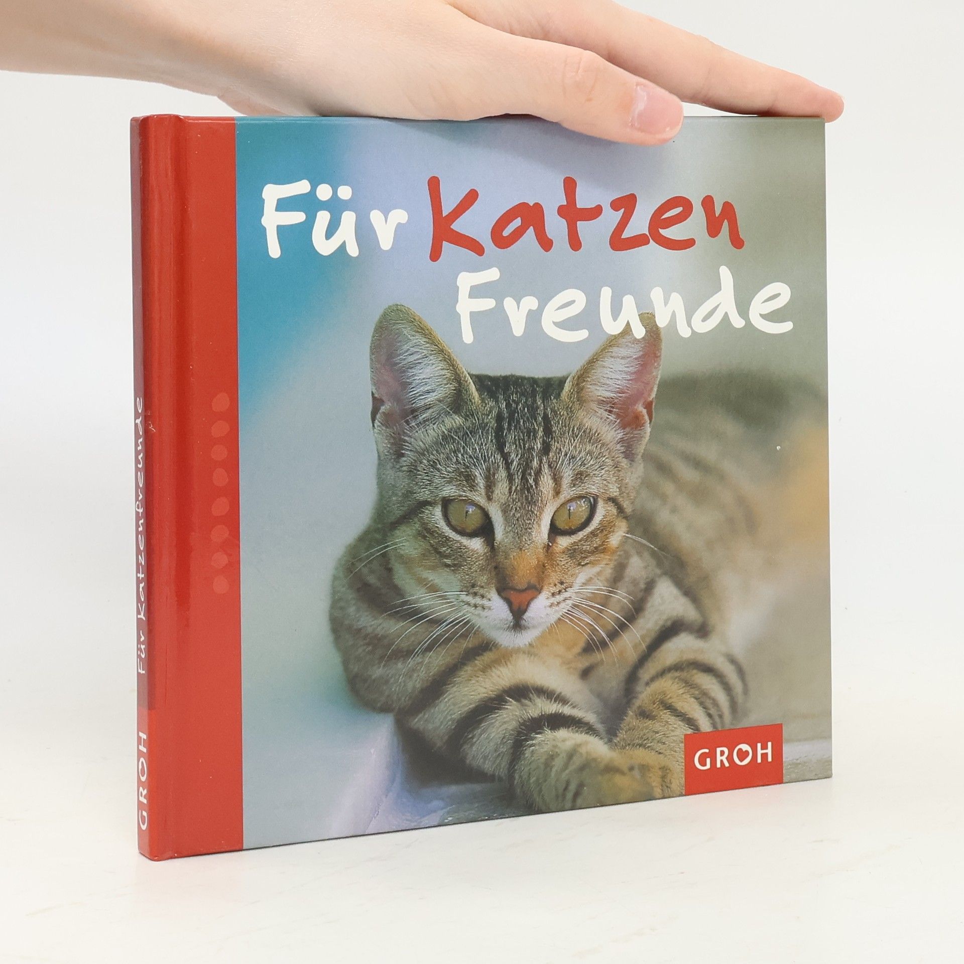 Nina Sandmann Für Katzenfreunde