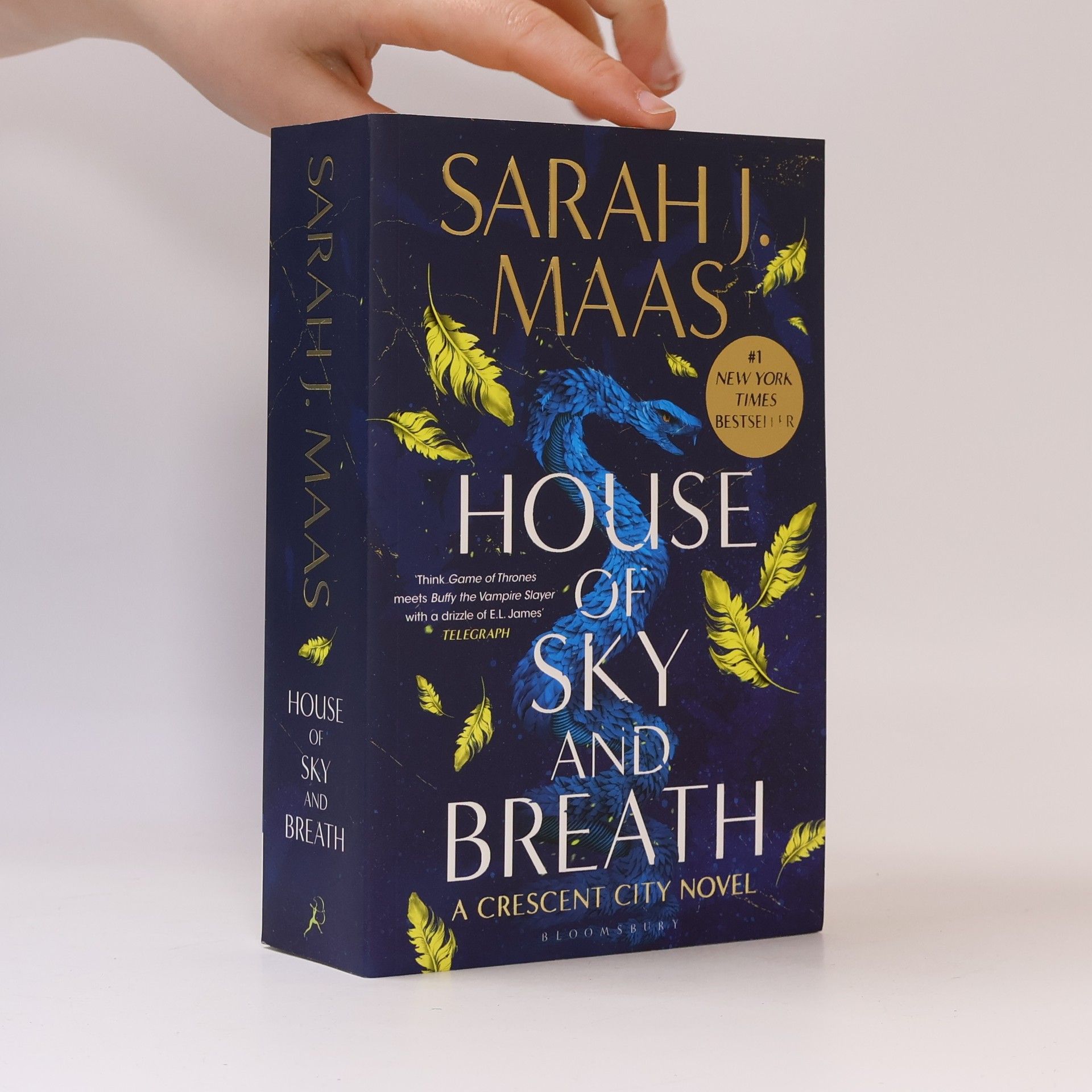 Sarah J. Maas House of Sky and Breath