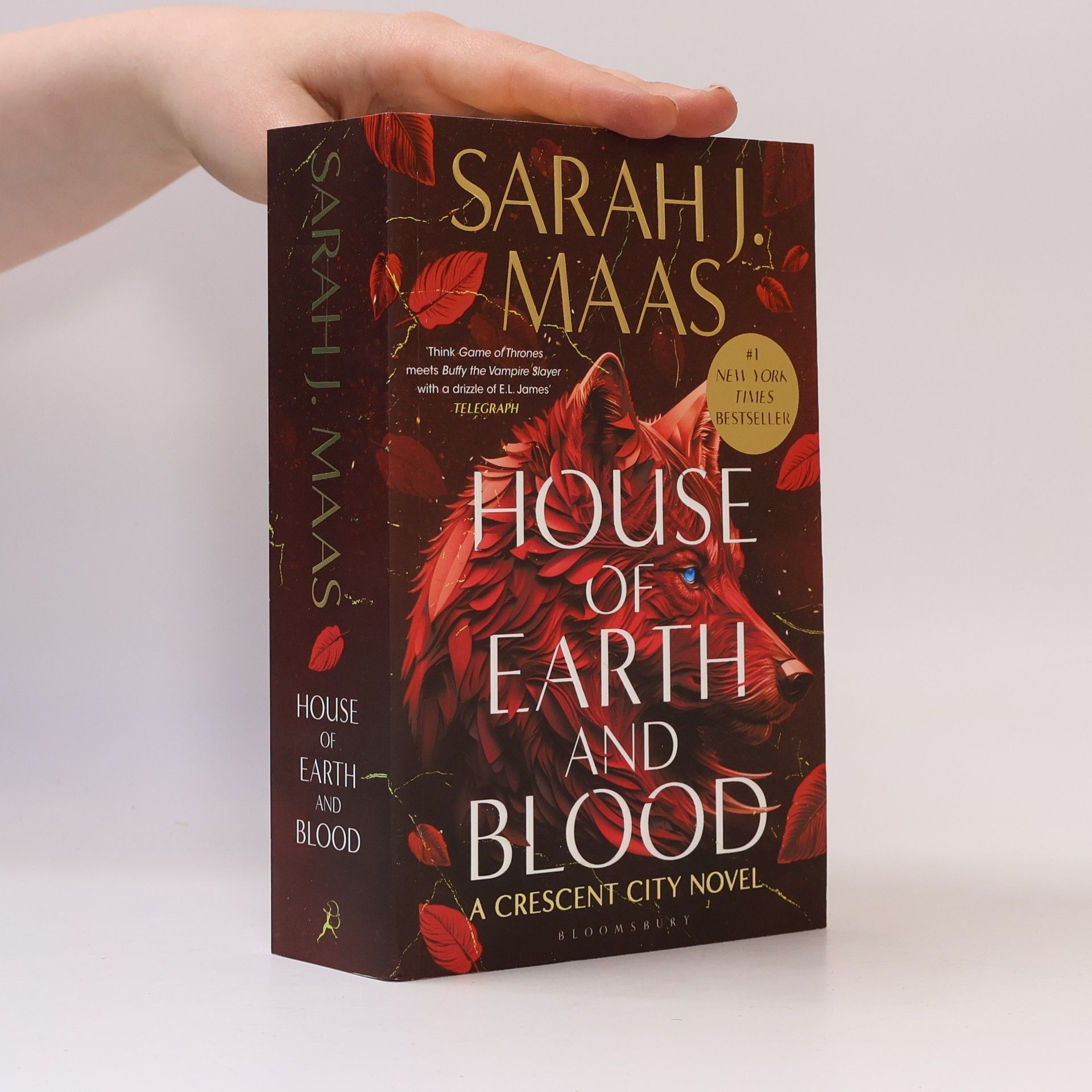 Sarah J. Maas House of Earth and Blood