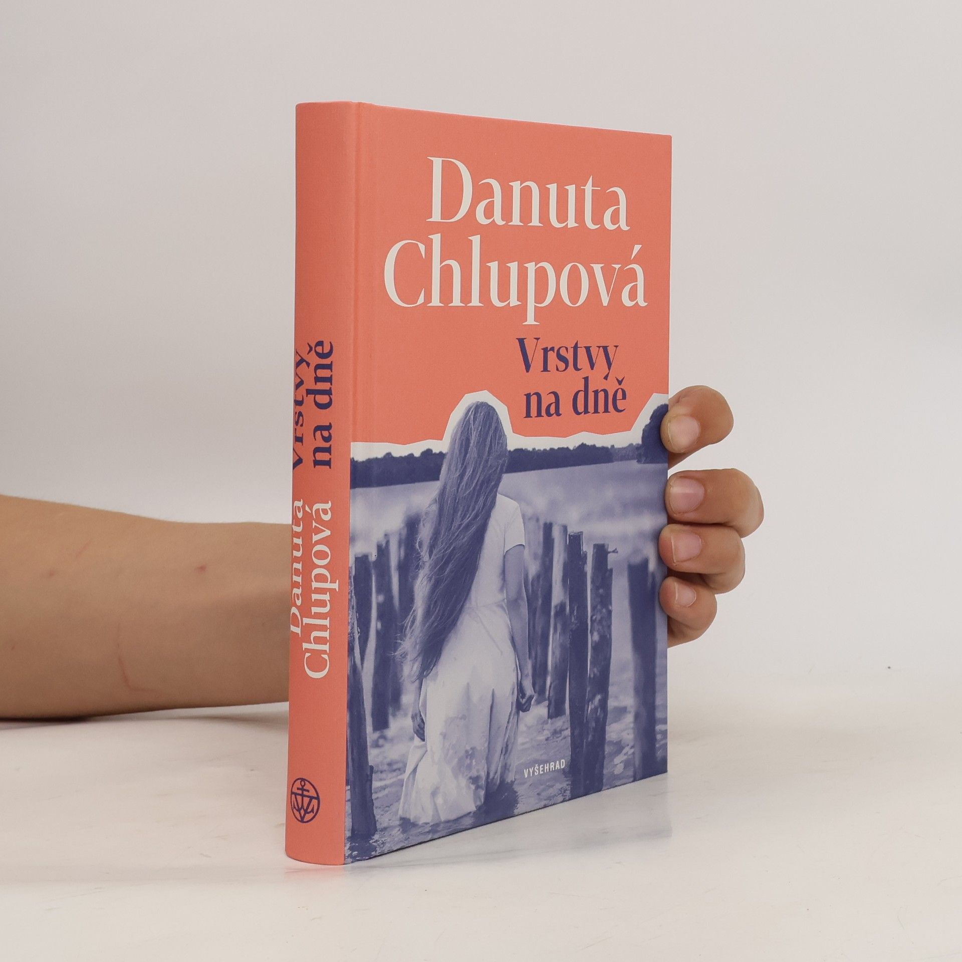 Danuta Chlupová Vrstvy na dně
