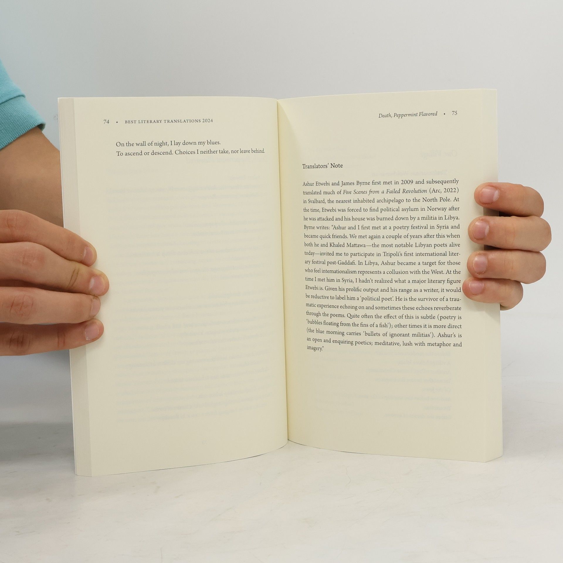 Deep Vellum Publishing The Best Literary Translations 2024
