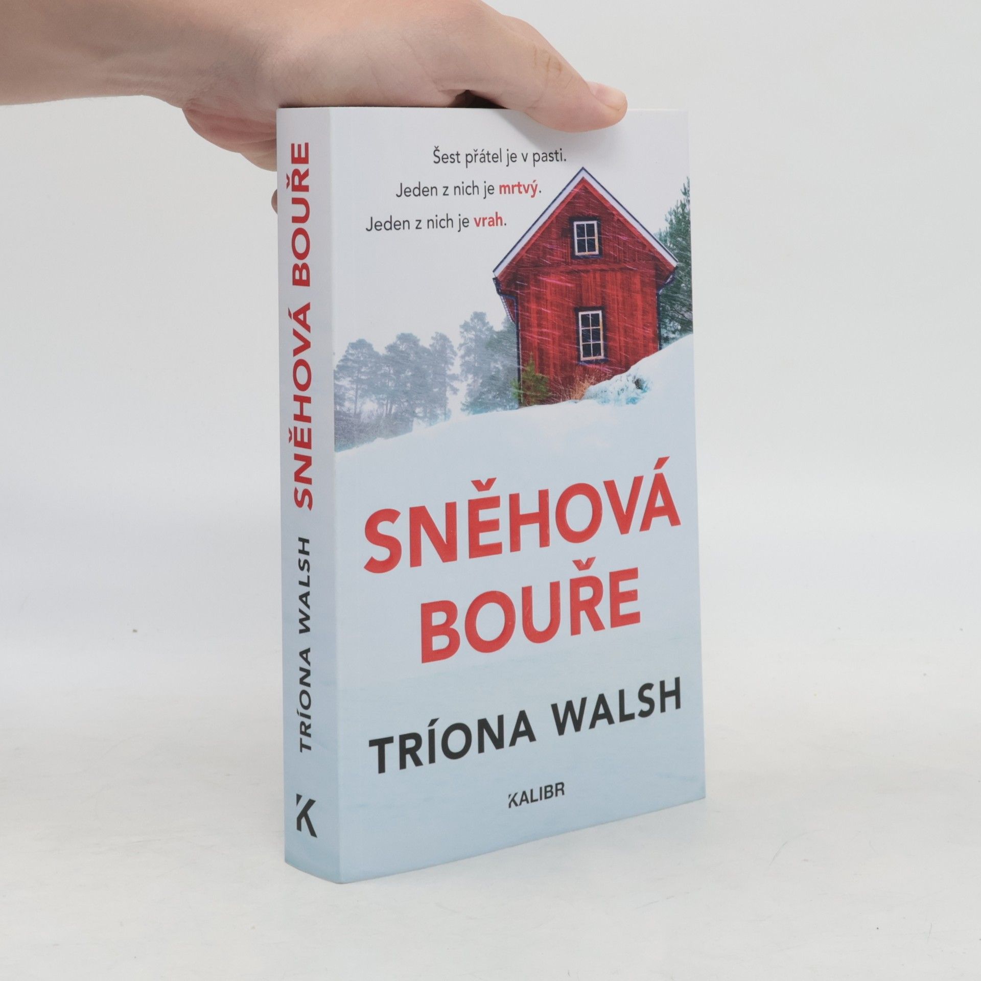 Tríona Walsh Sněhová bouře