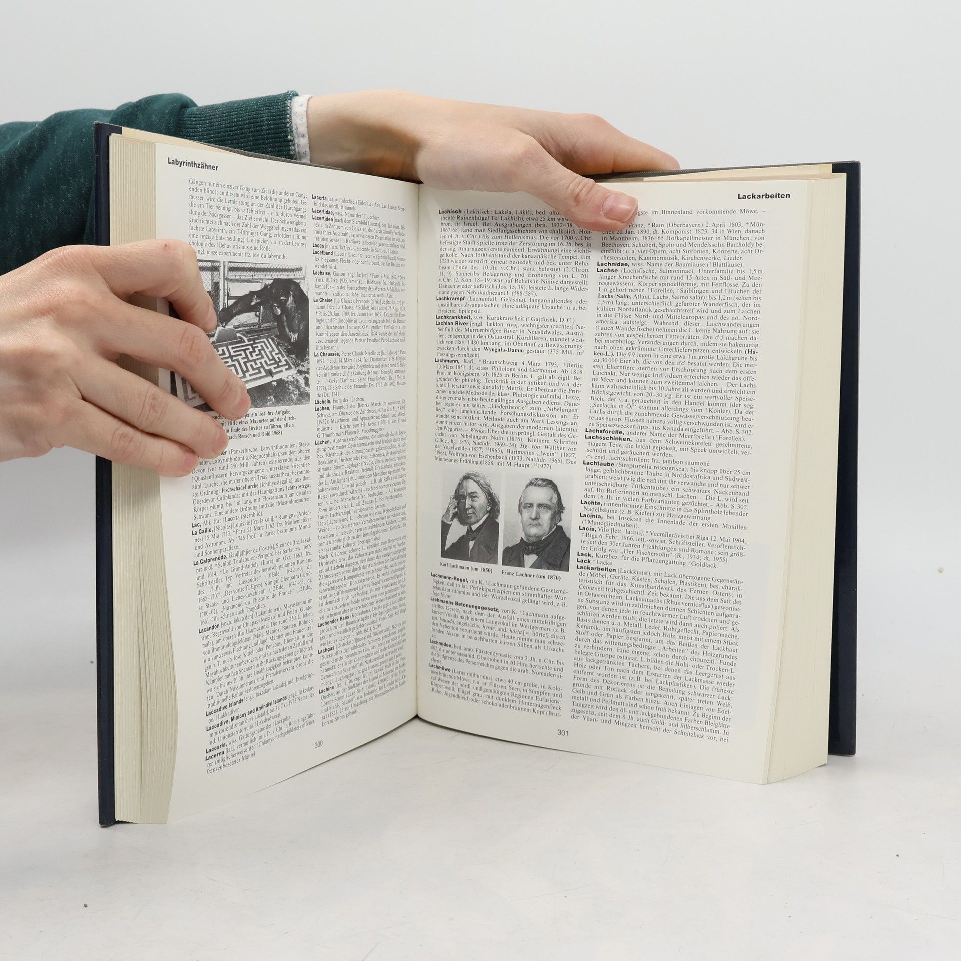 Autorenkollektiv Meyers grosses Universal-Lexikon Band 8 (Ko-Lz)