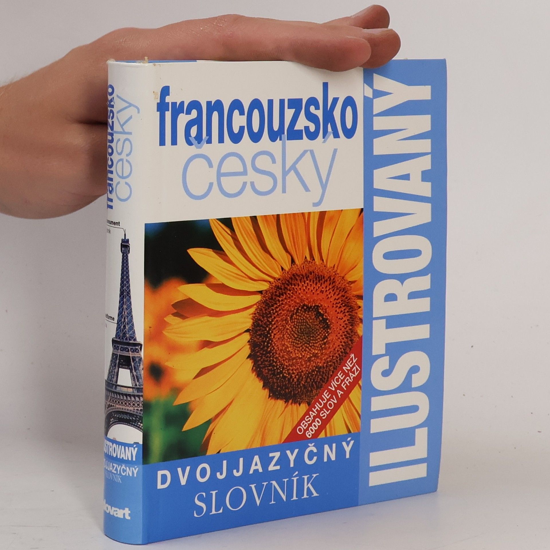 Autorenkollektiv Francouzsko-český ilustrovaný slovník