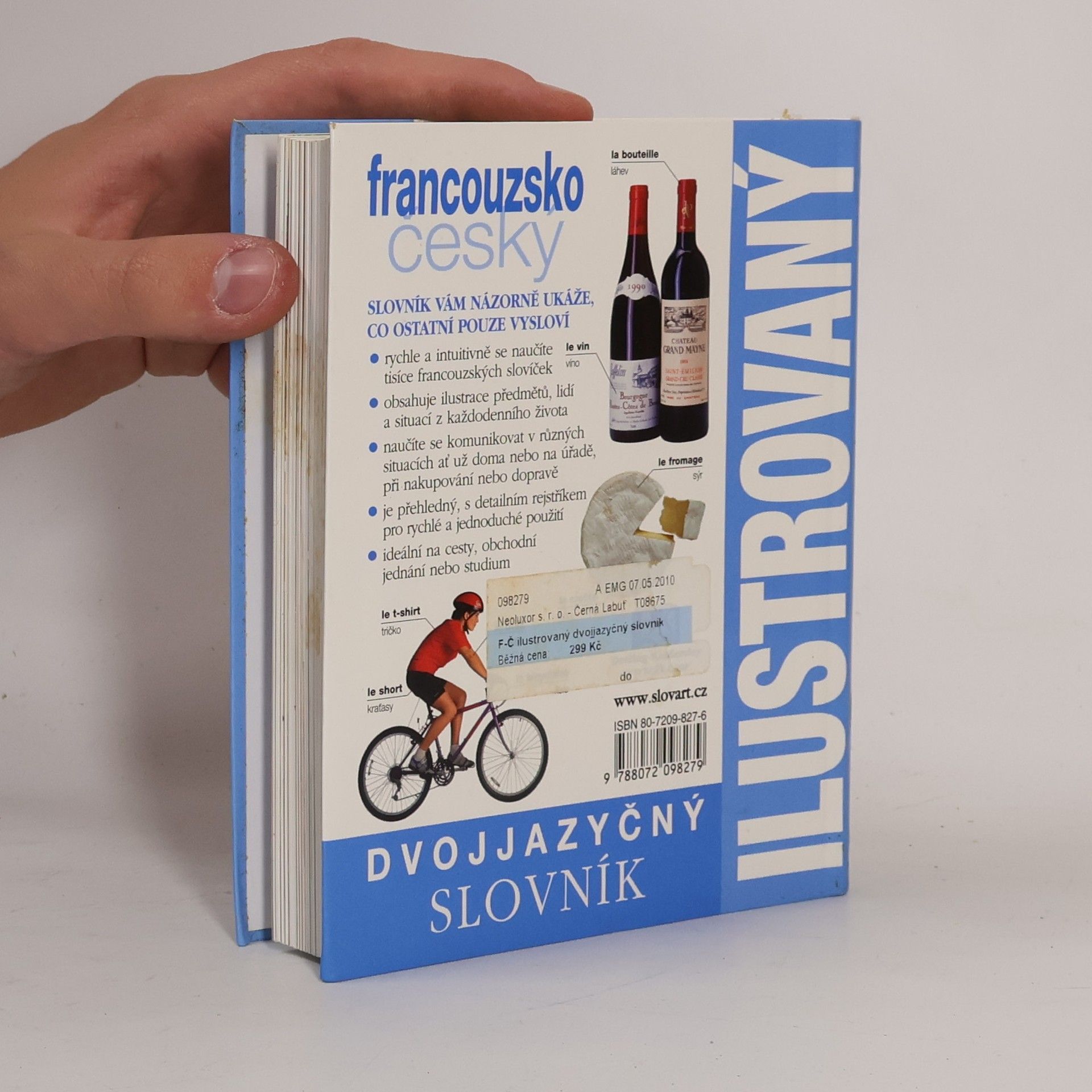 Autorenkollektiv Francouzsko-český ilustrovaný slovník