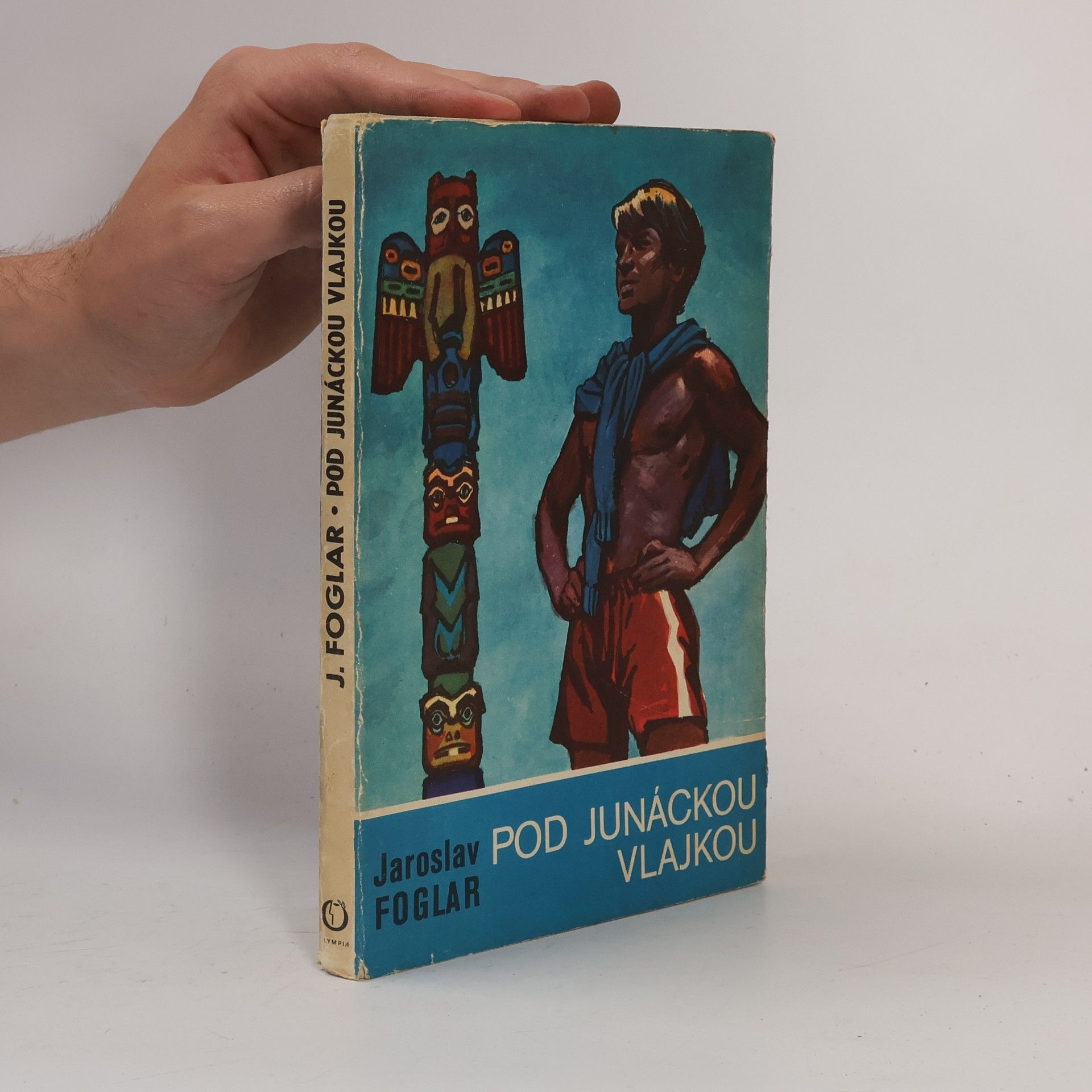Pod junáckou vlajkou