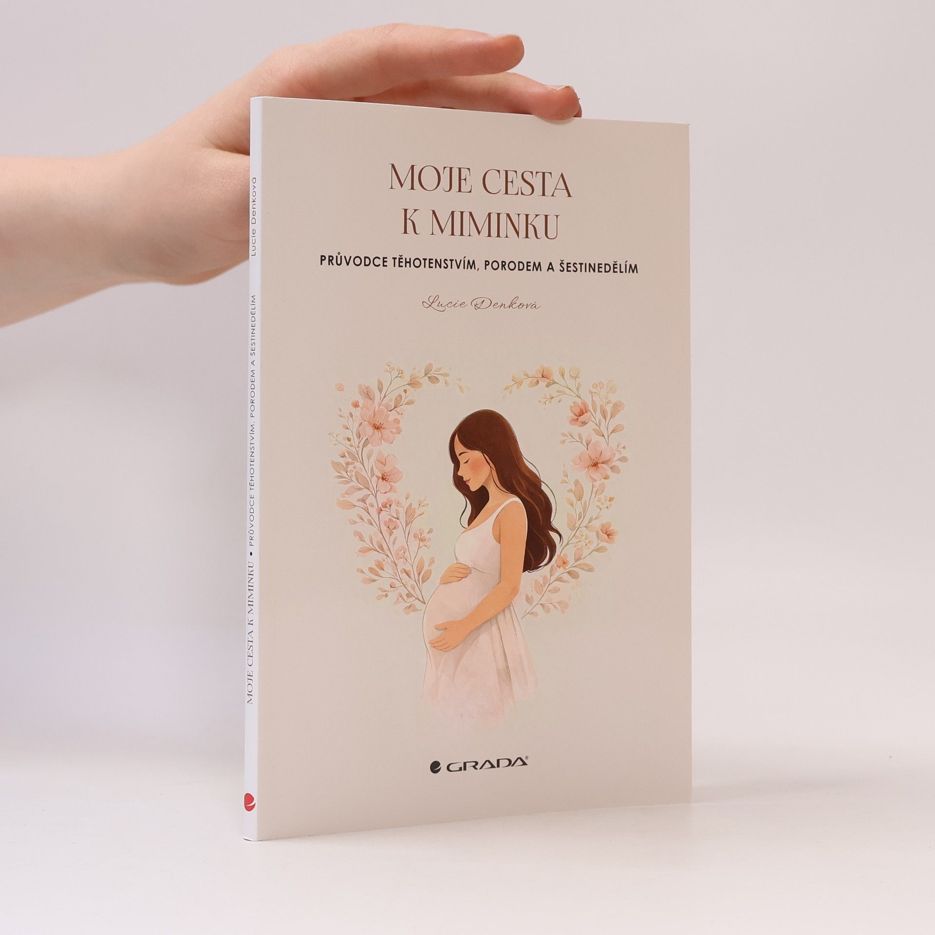 Lucie Denková Moje cesta k miminku: Průvodce těhotenstvím, porodem a šestinedělím