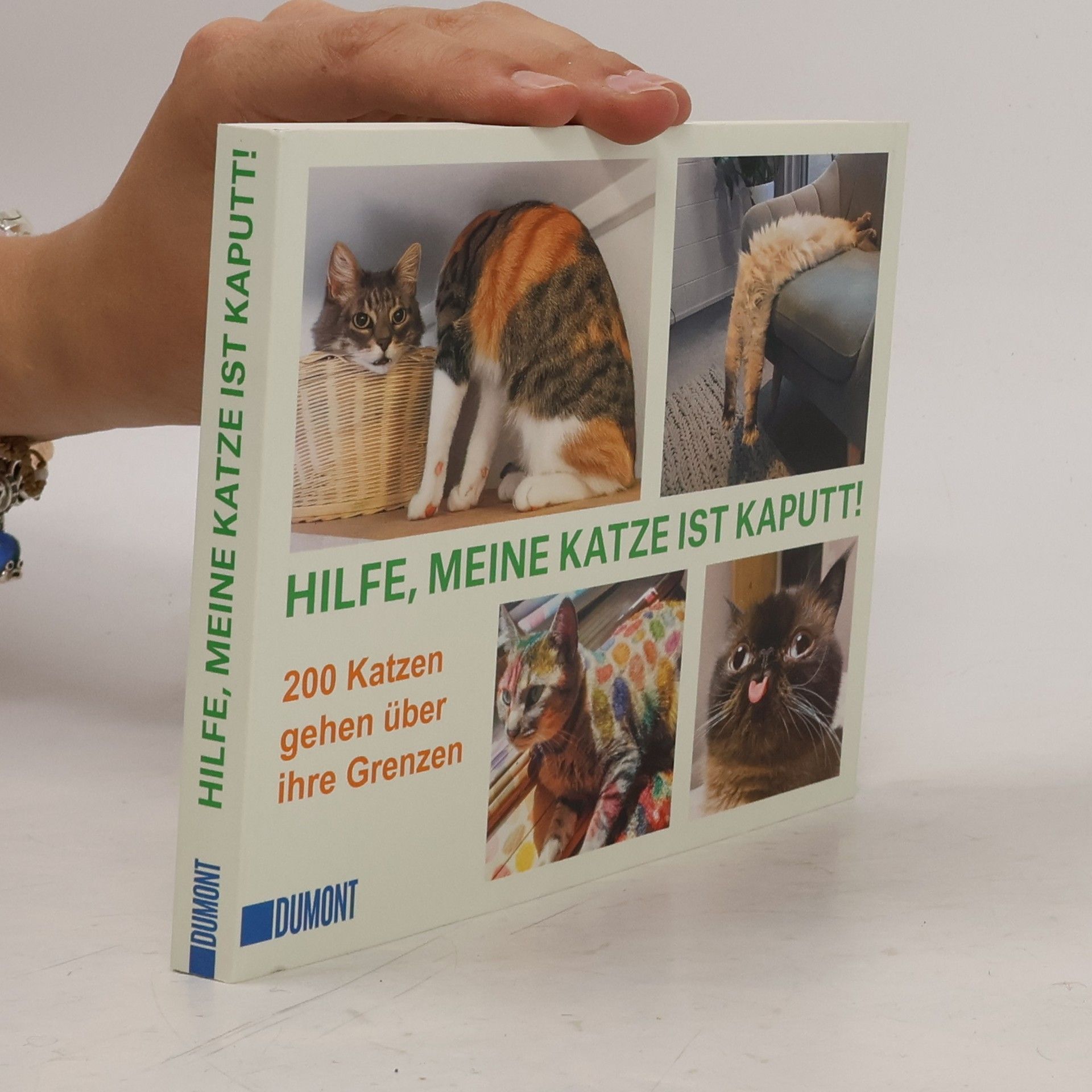 Autorenkollektiv Hilfe, meine Katze ist kaputt