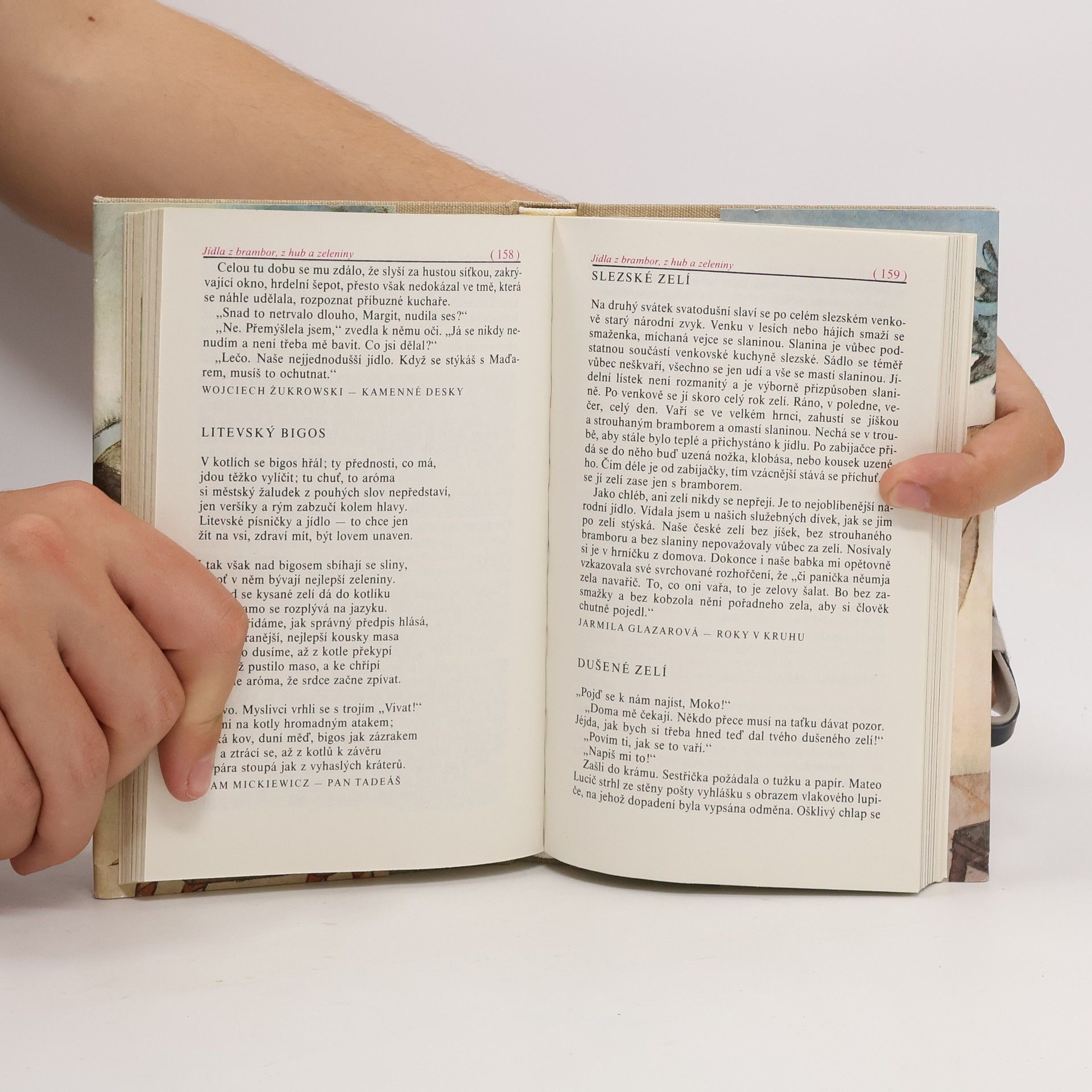 Jaroslava Jiskrová Kuchařské recepty vypsané z krásné literatury