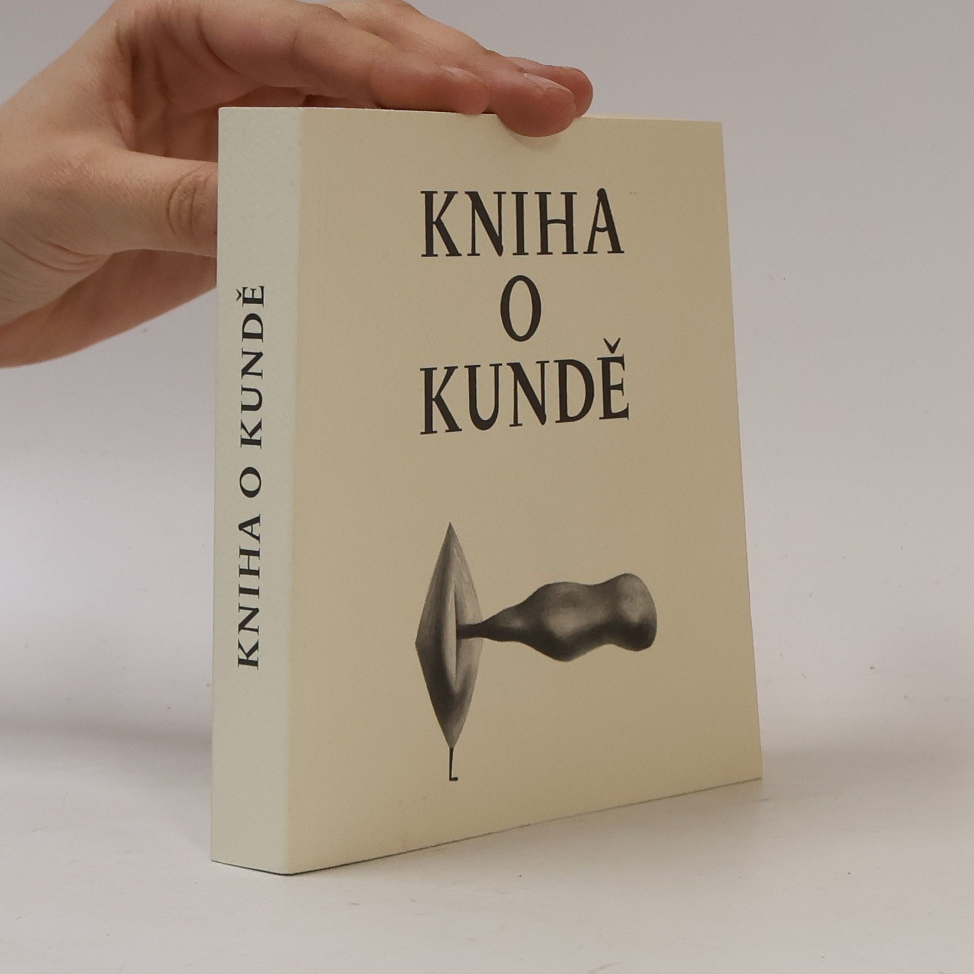 Nela D. Aston Kniha o kundě
