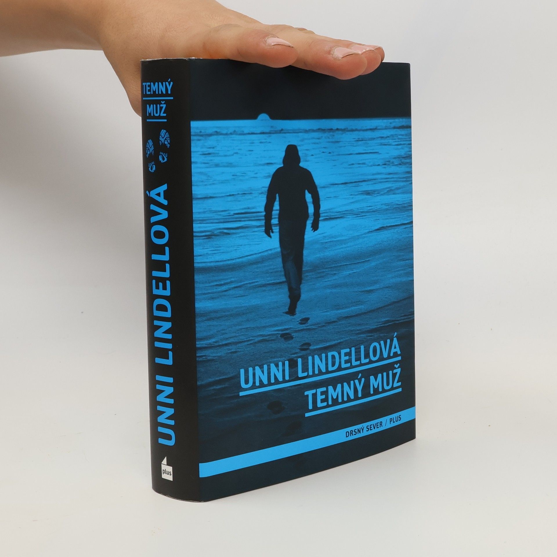 Unni Lindell Temný muž
