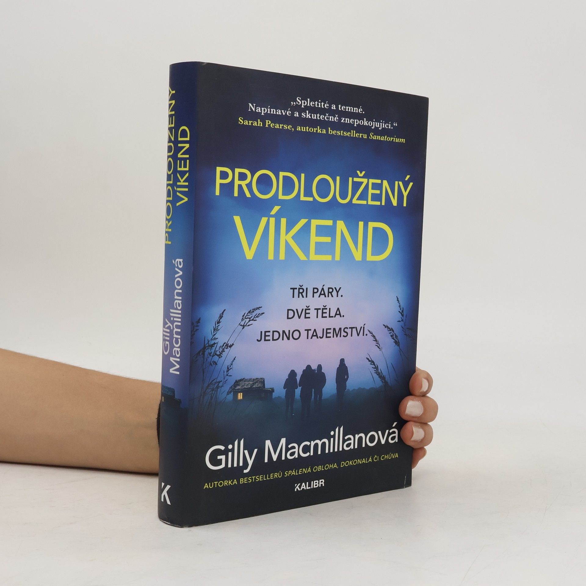Gilly Macmillan Prodloužený víkend