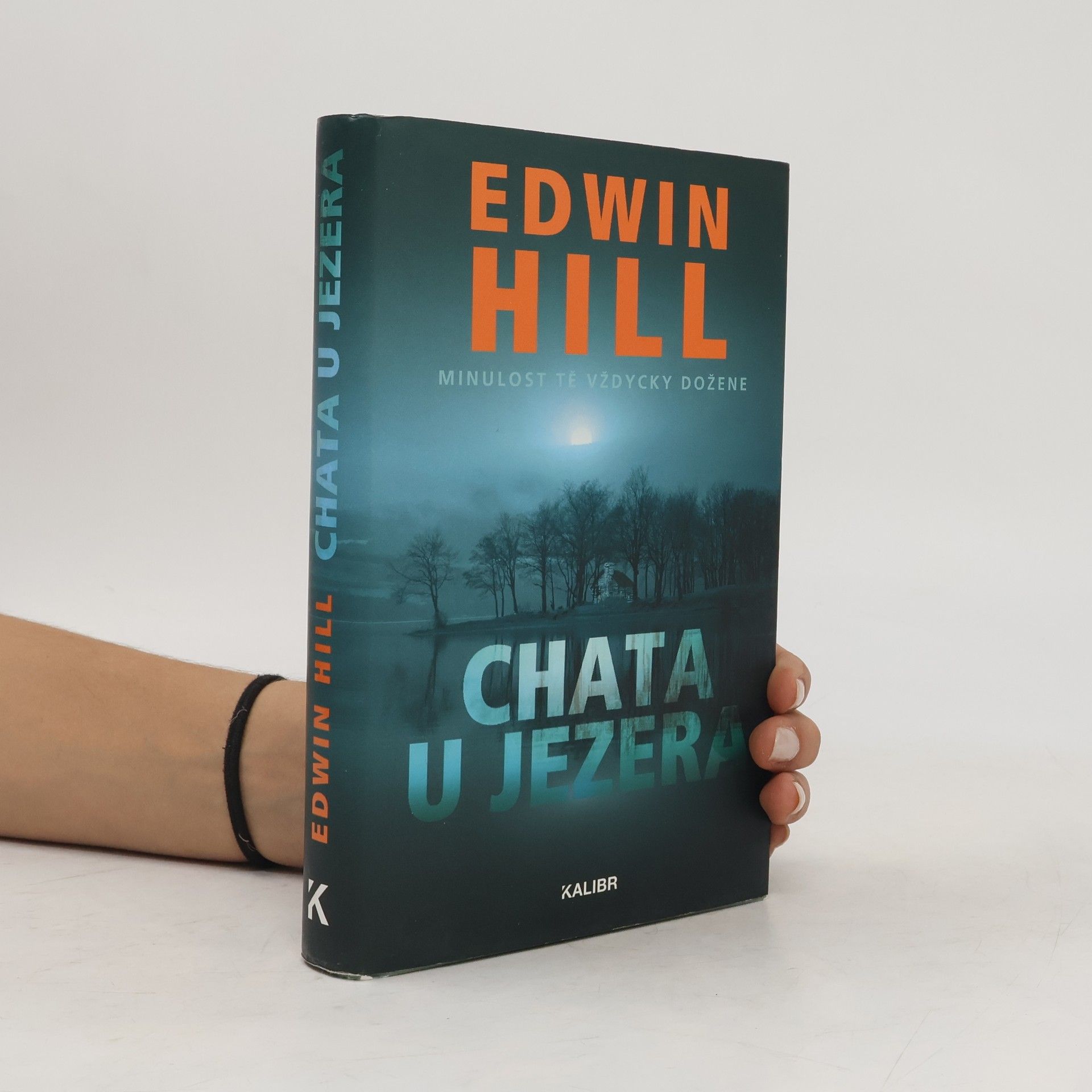 Edwin Hill Chata u jezera