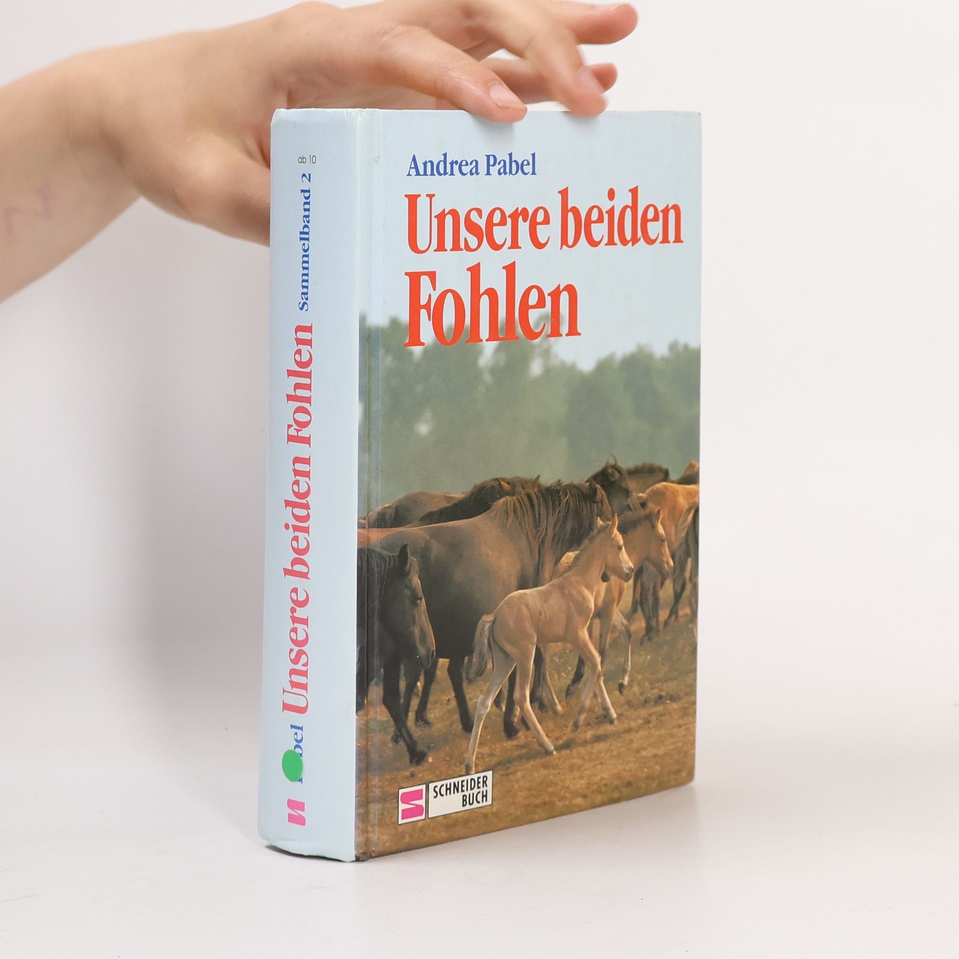 Andrea Pabel Unsere beiden Fohlen