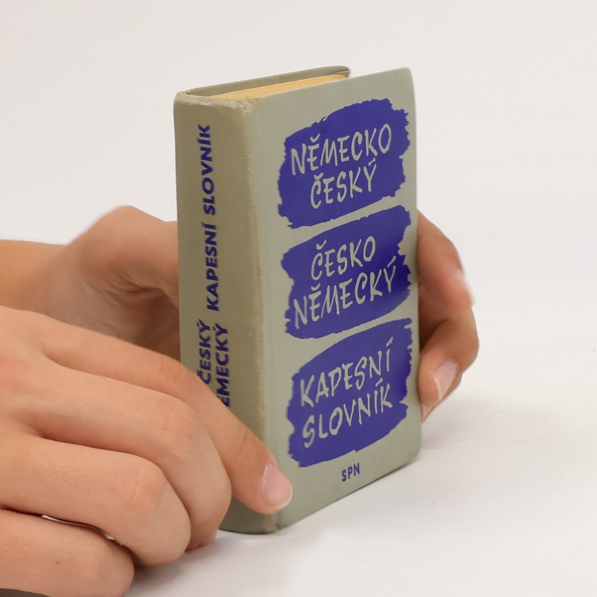 Adolf Plachý Německo-český a česko-německý kapesní slovník